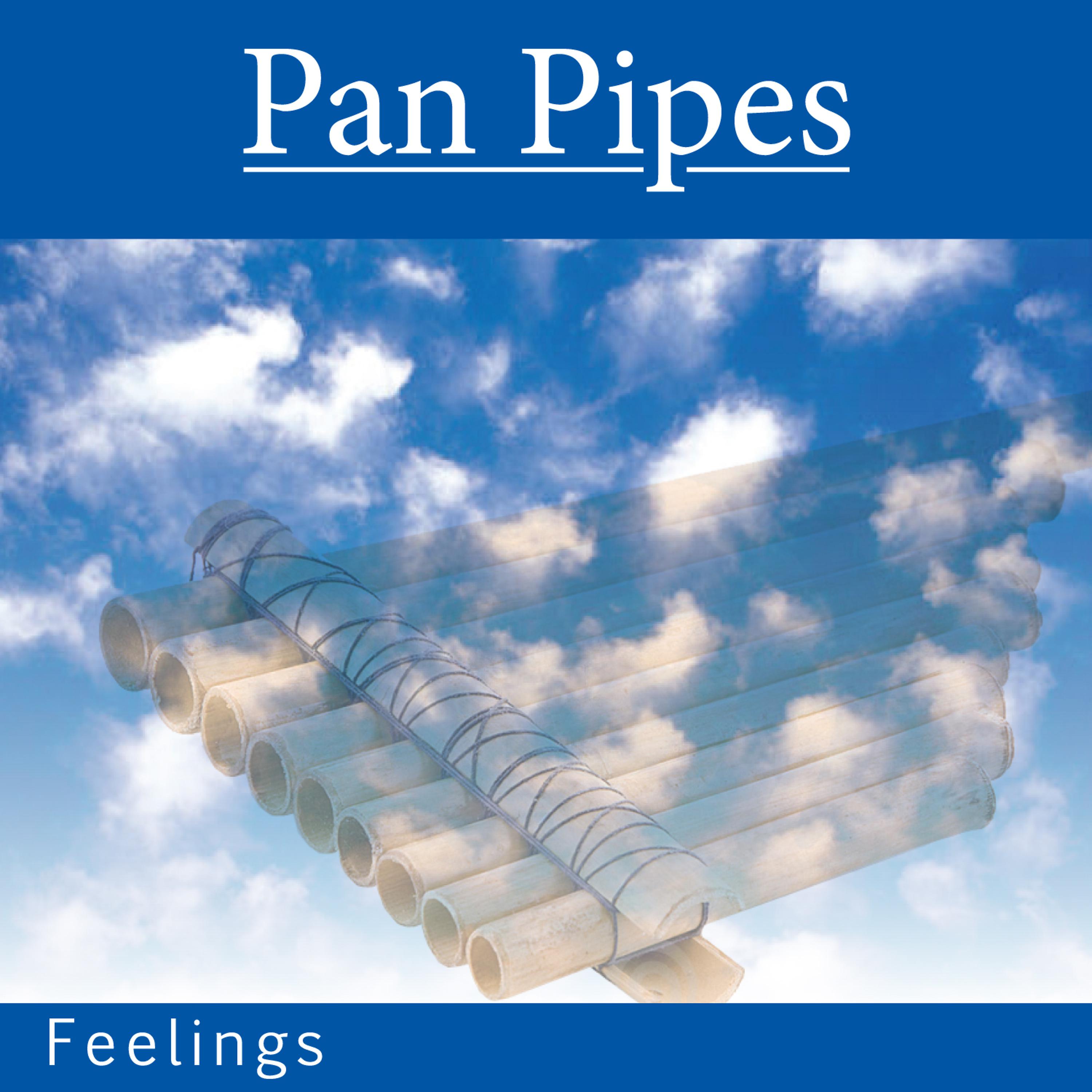 Постер альбома Pan Pipes Feelings