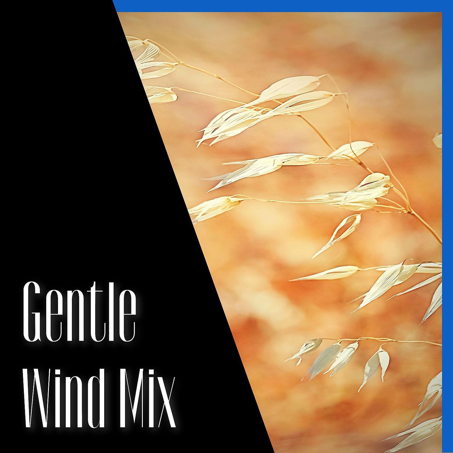 Постер альбома Gentle Wind Mix