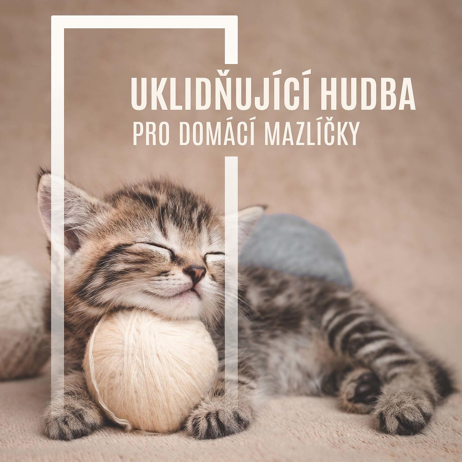 Relaxační Zvuky - Harmonie a Pohodlí