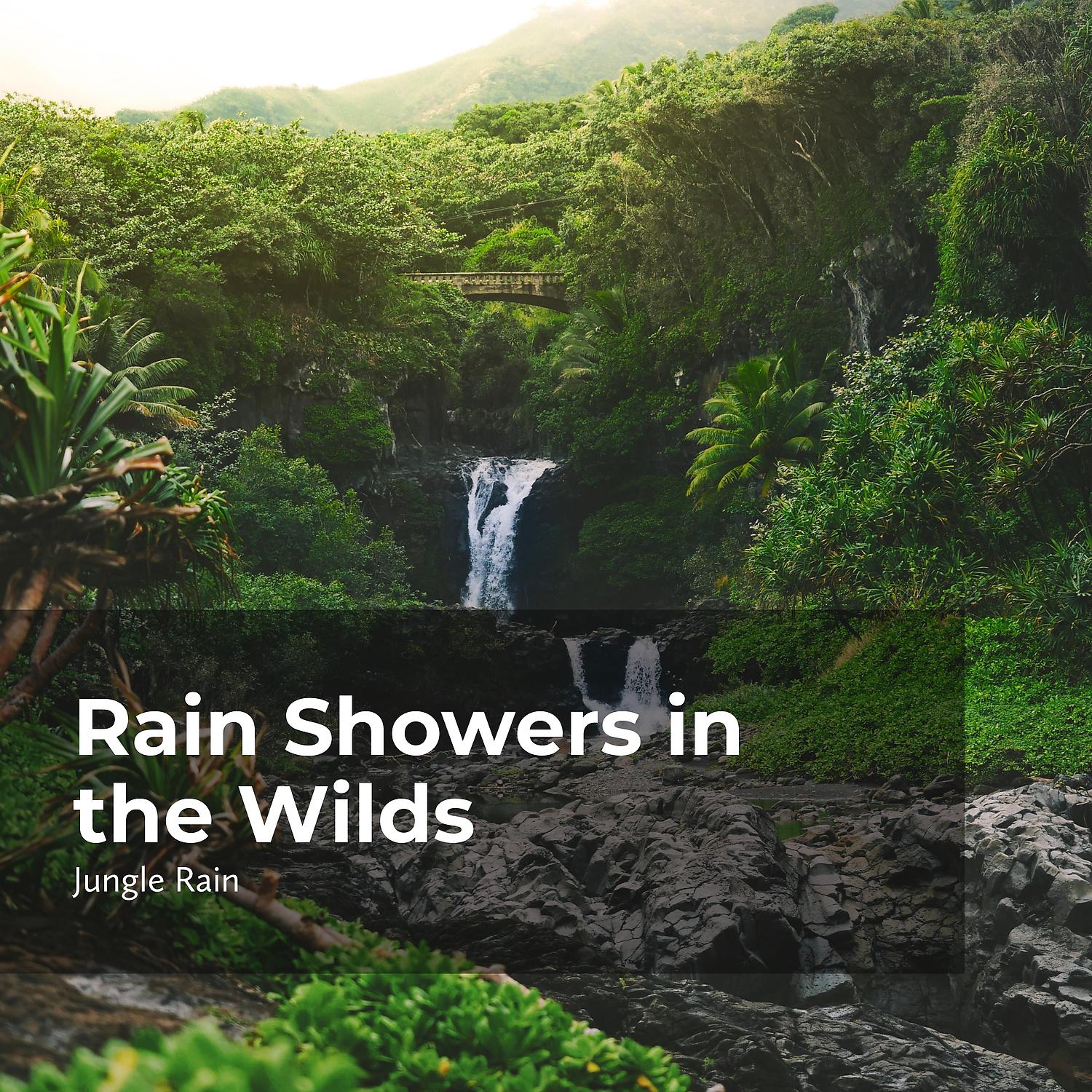 Постер альбома Rain Showers in the Wilds