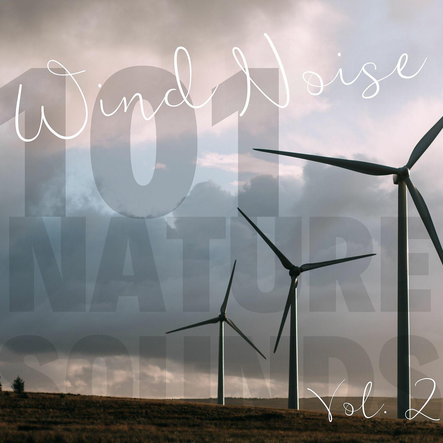 Постер альбома Wind Noise Vol. 2