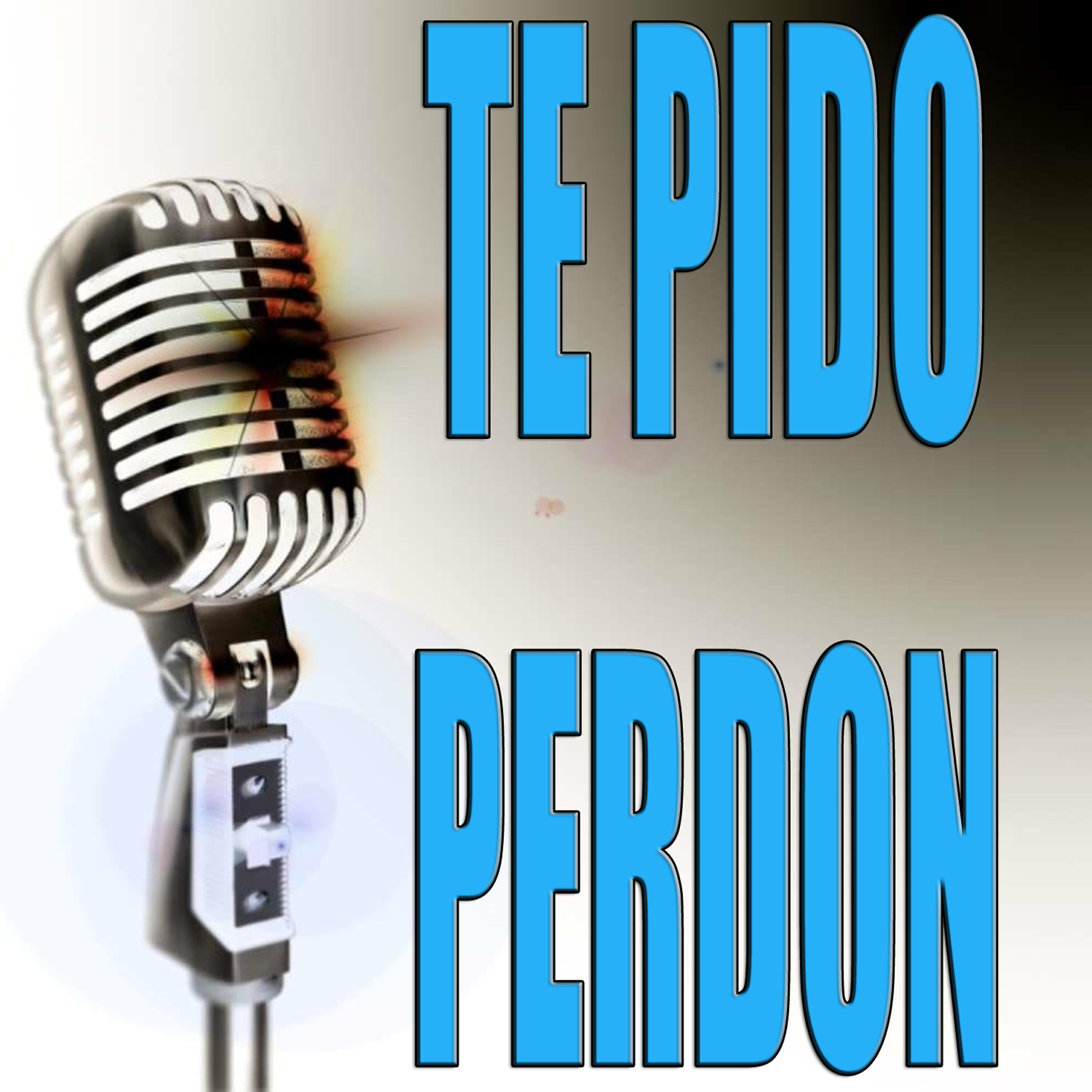 The Best Karaoke - Te pido perdon (Made famous by Tito el Bambino) (Karaoke version)