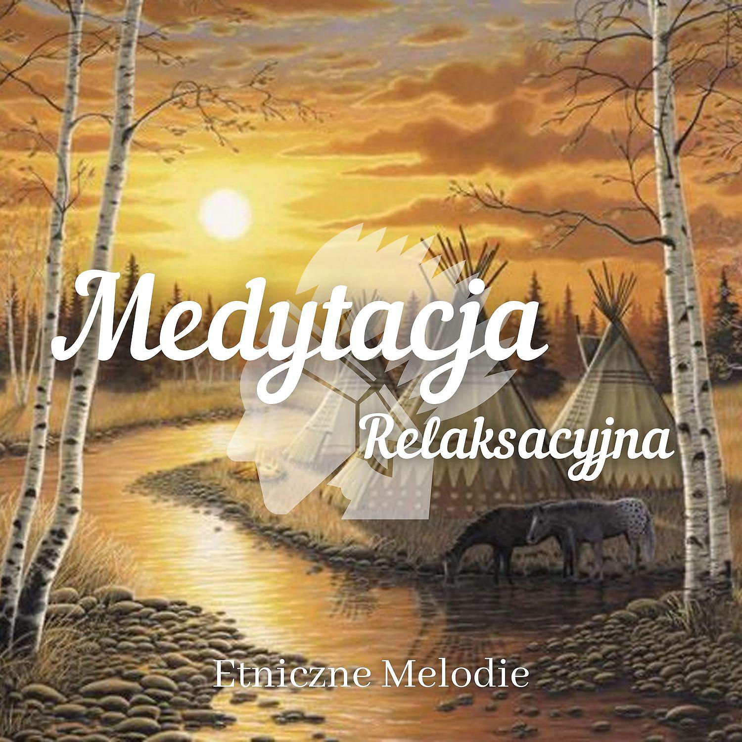 Постер альбома Medytacja Relaksacyjna, Etniczne Melodie