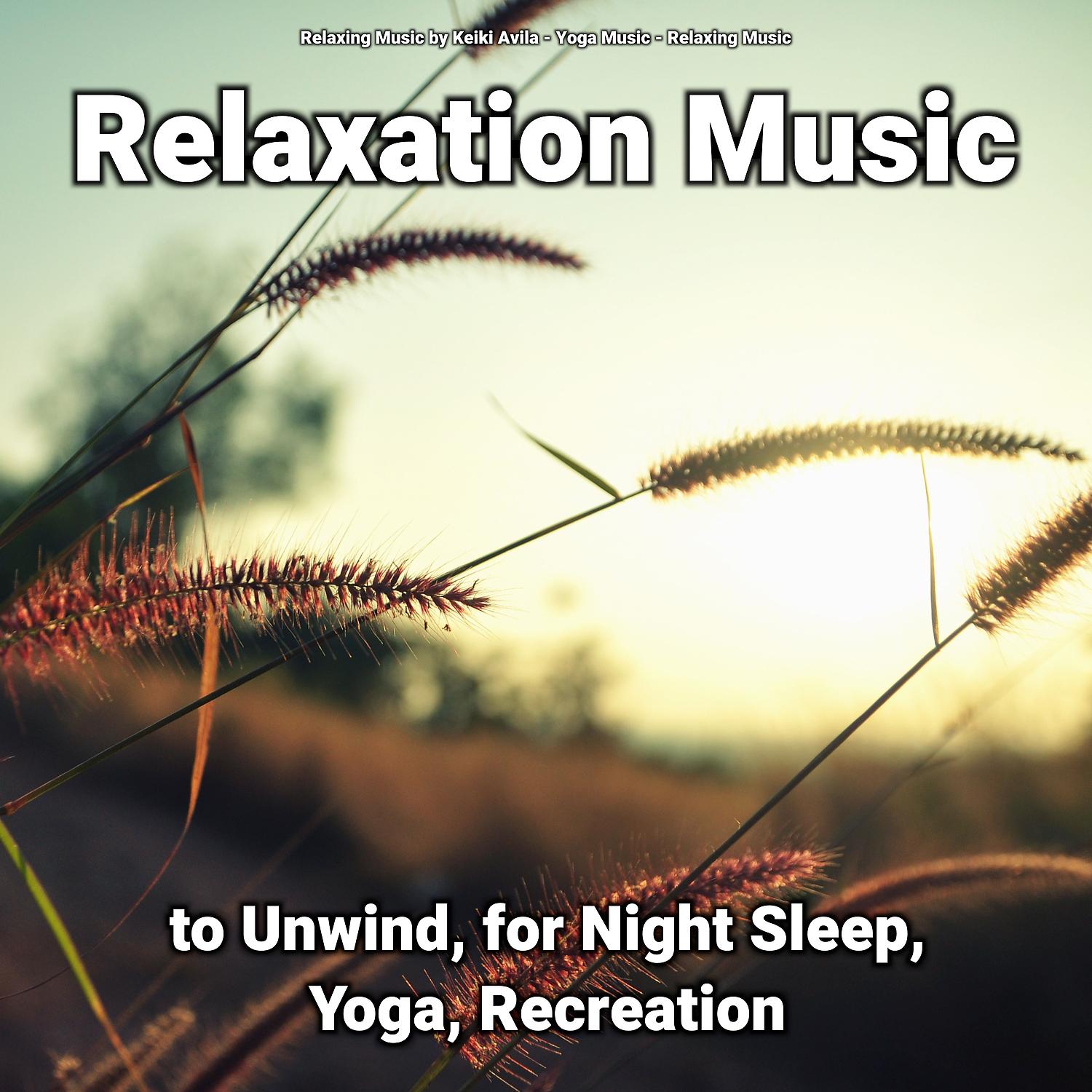 Постер альбома Relaxation Music to Unwind, for Night Sleep, Yoga, Recreation