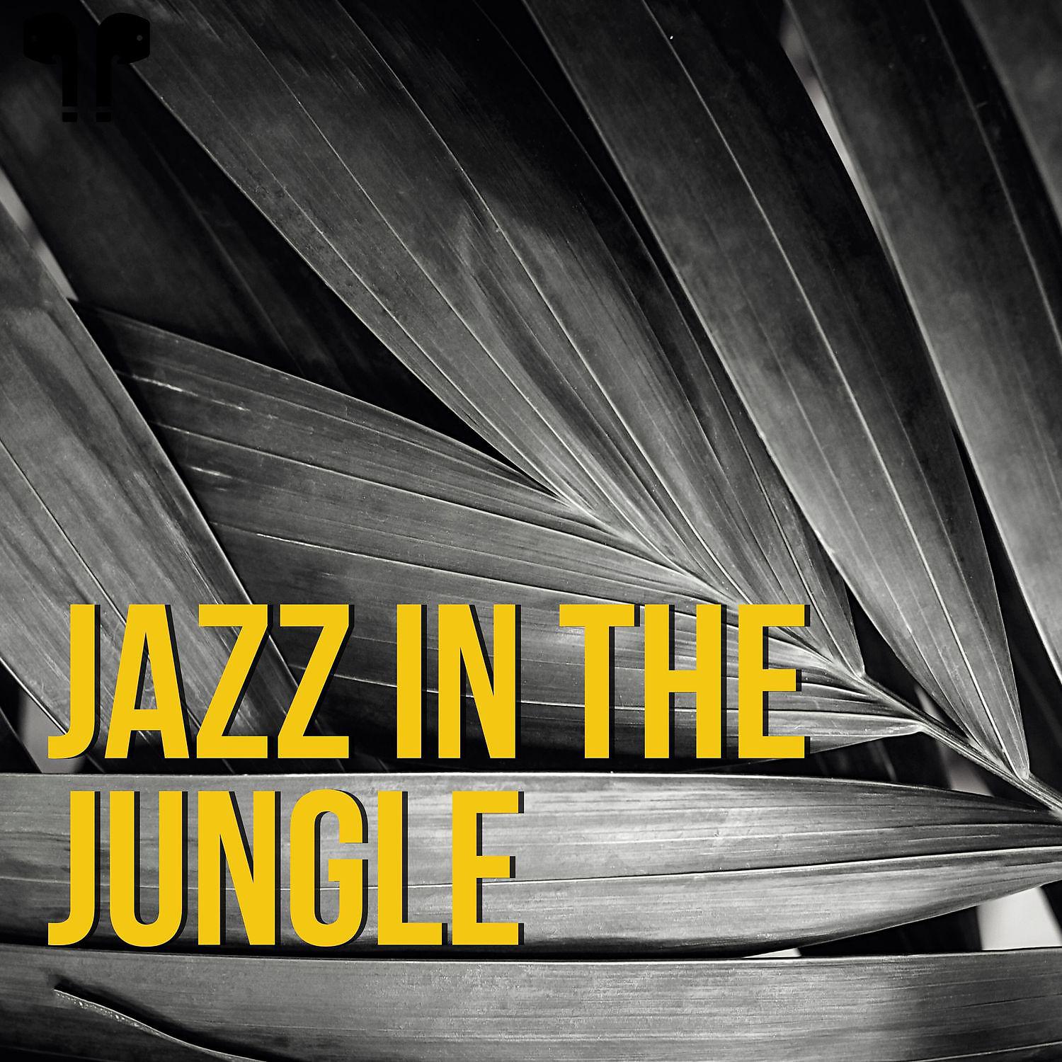 Постер альбома Jazz in the Jungle