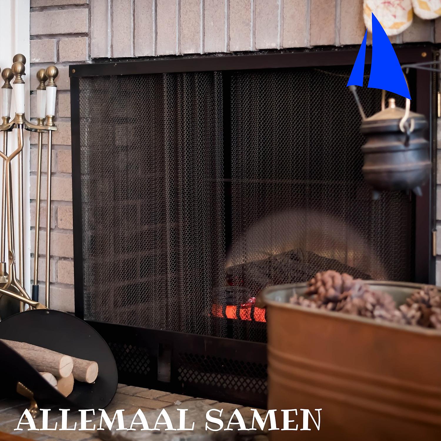 Постер альбома Allemaal Samen