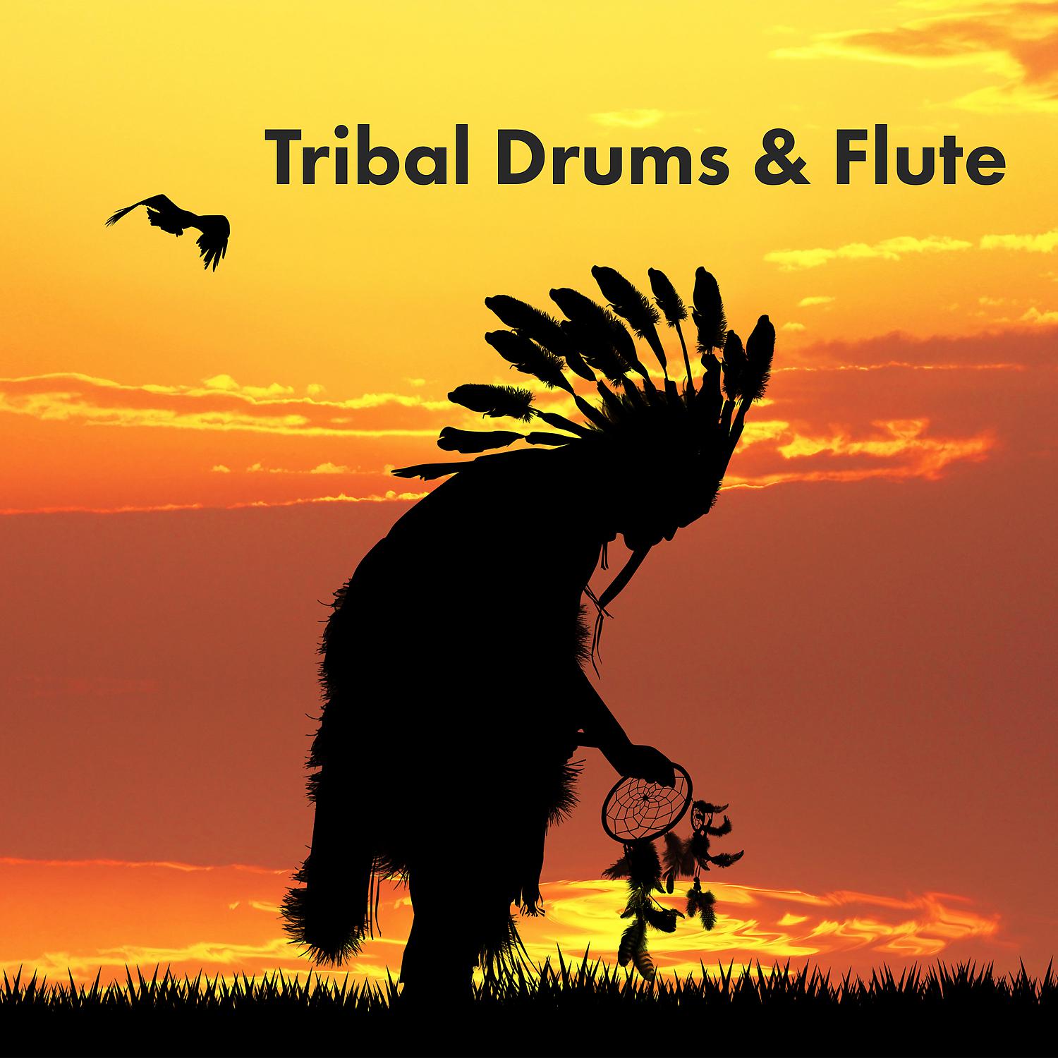 Постер альбома Tribal Drums & Flute: Shamanic Astral Projection, Healing Meditation & Native American Music