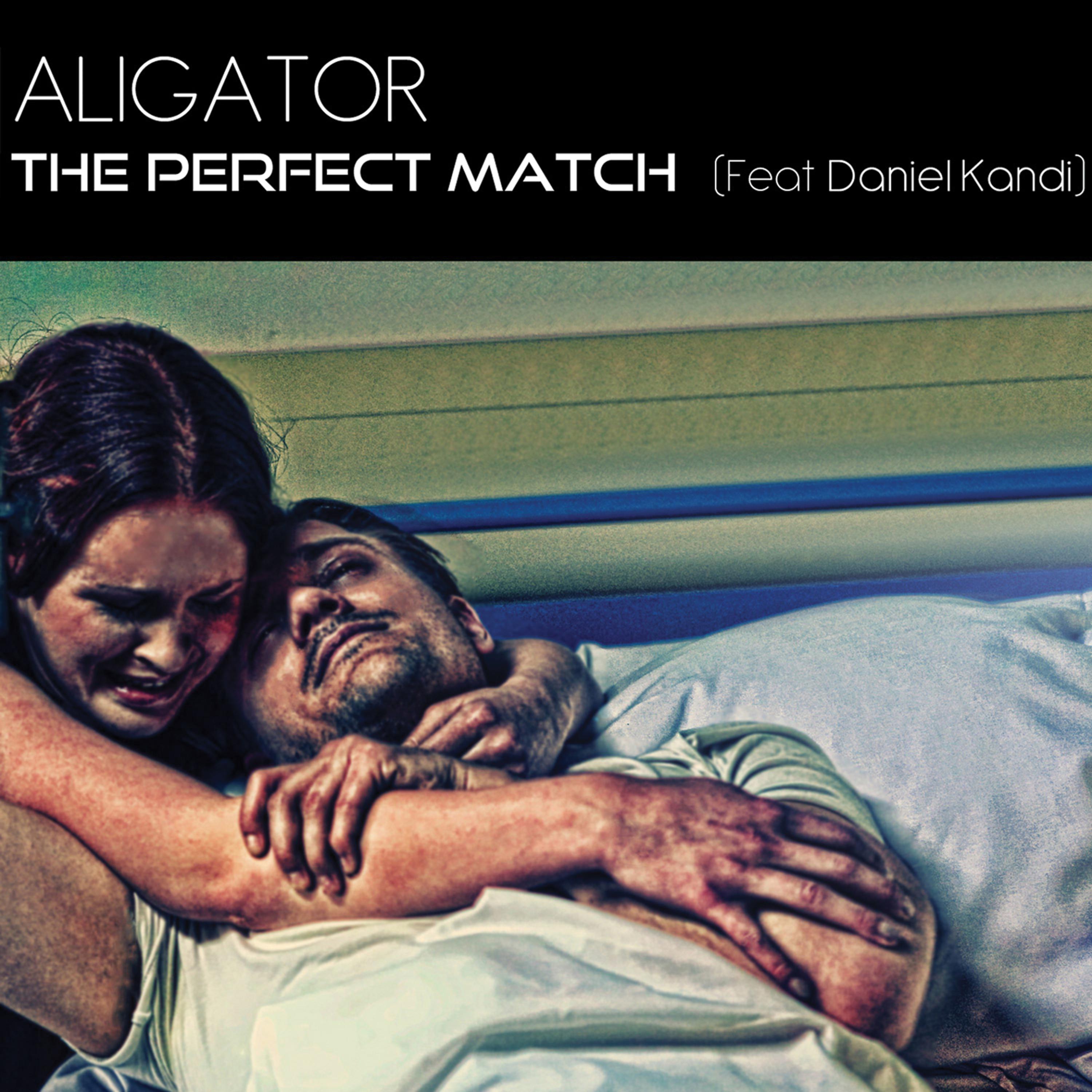 Постер альбома The Perfect Match (feat. Daniel Kandi)
