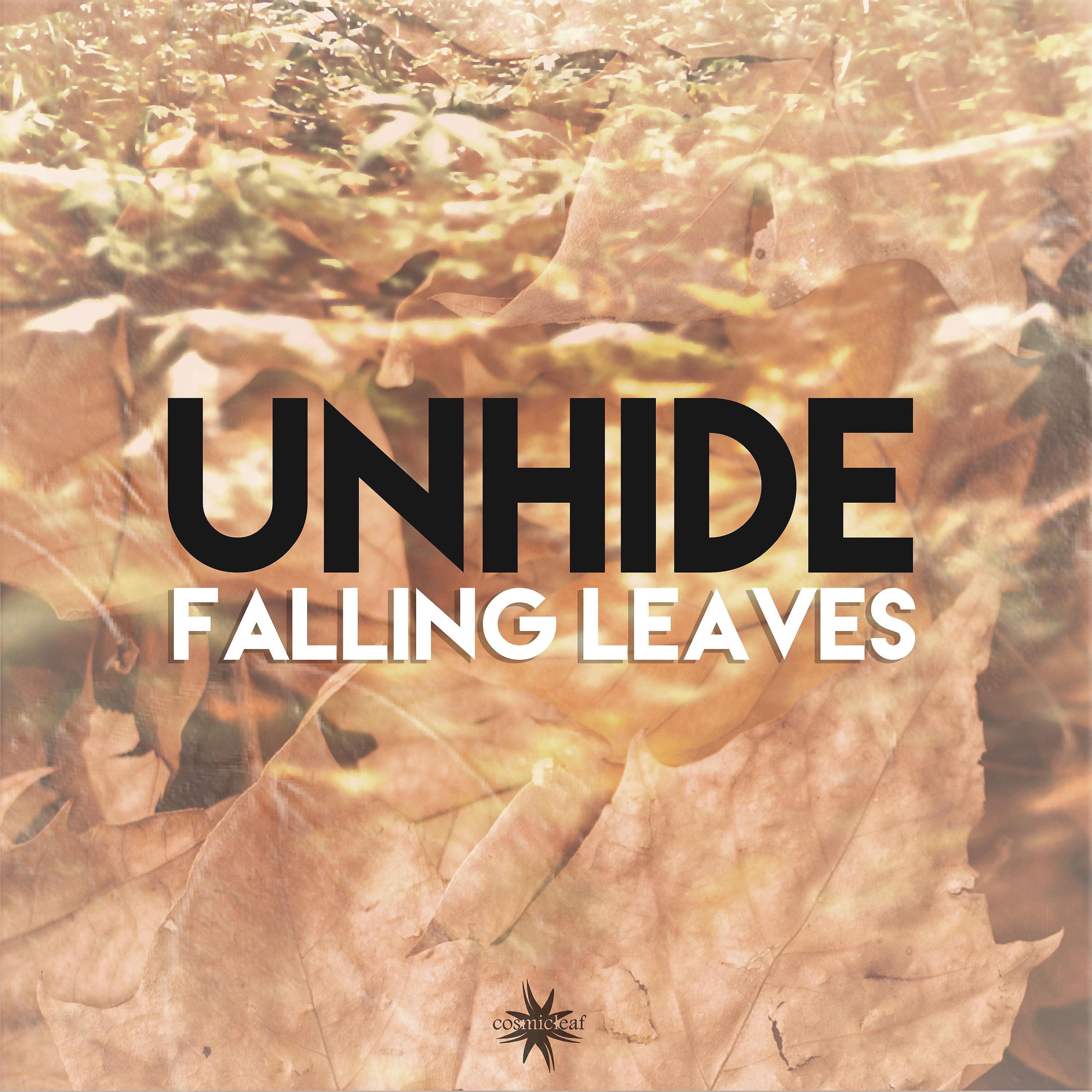 Постер альбома Leaves Falling