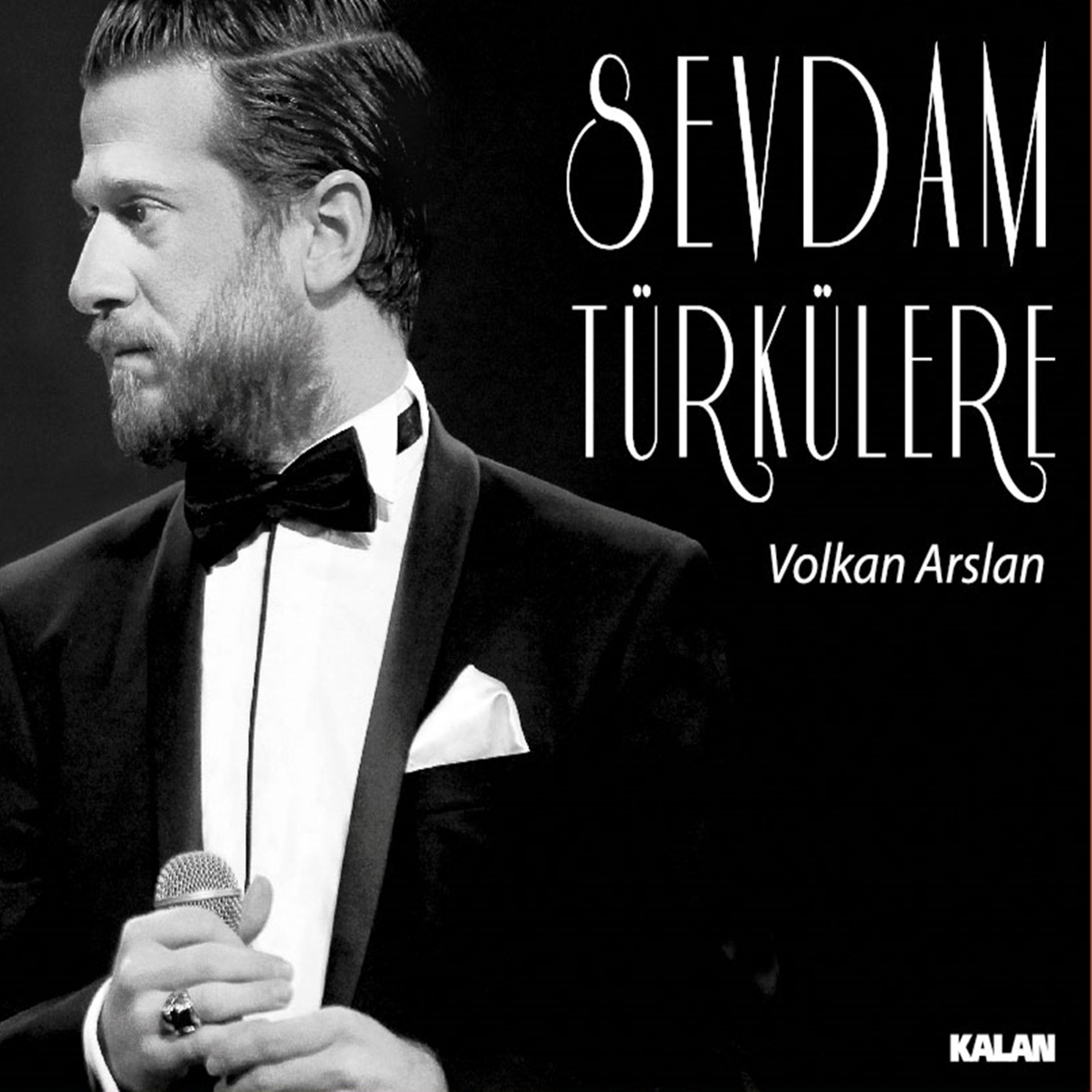 Постер альбома Sevdam Türkülere
