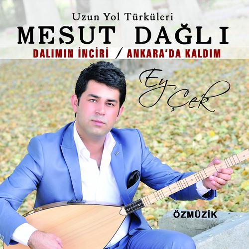Постер альбома Ey Çek / Dalımın İnciri
