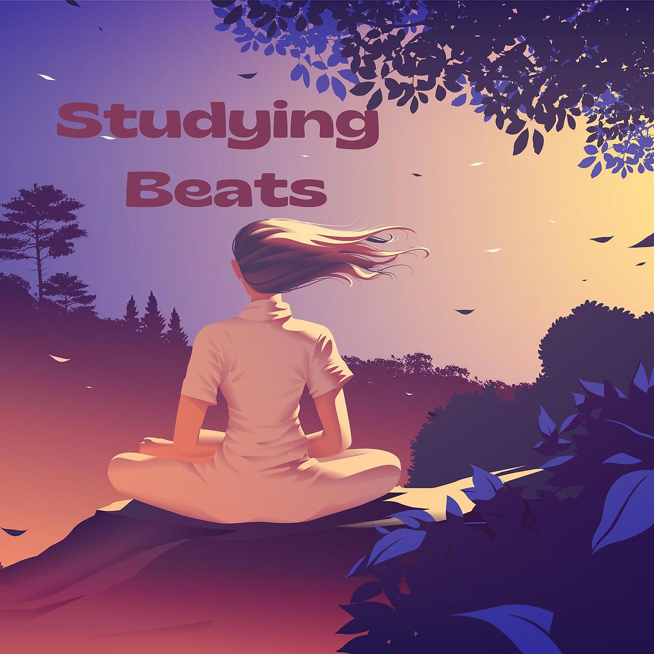 Постер альбома Studying Beats