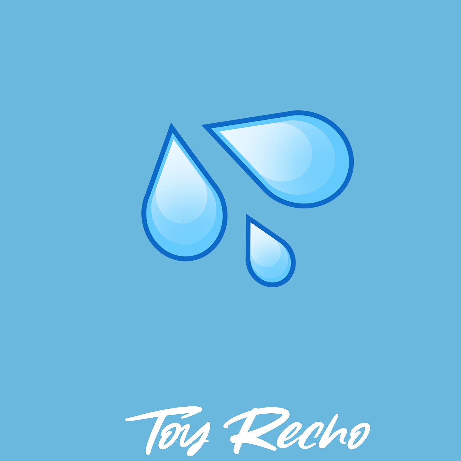 Постер альбома Toy Recho