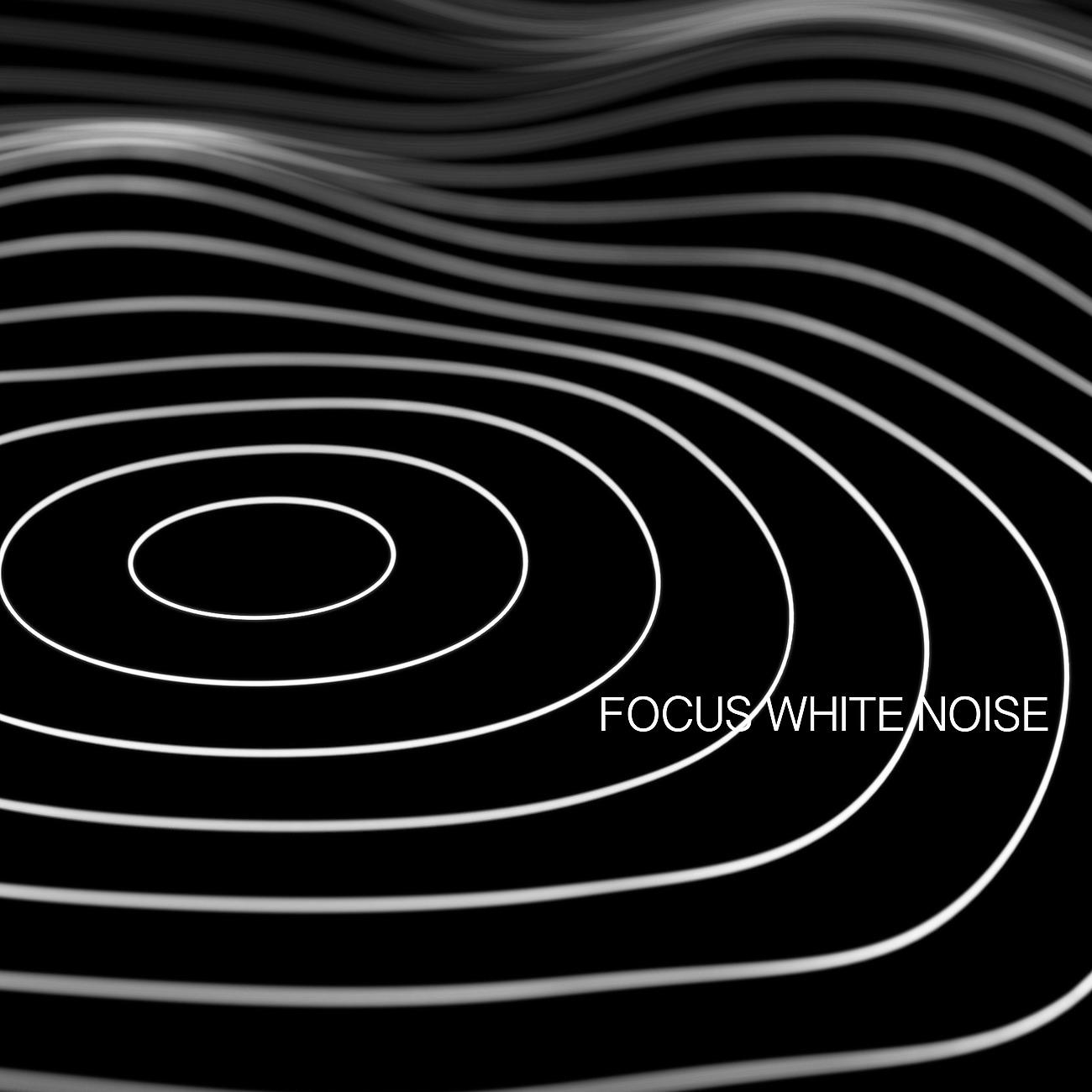 Постер альбома Focus White Noise