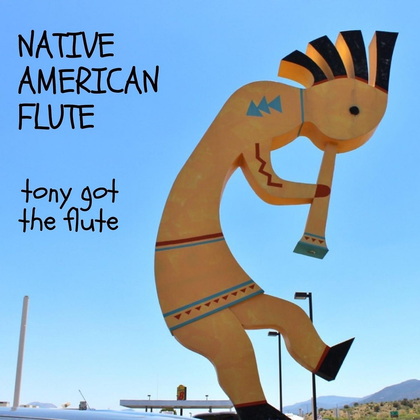 Постер альбома Native American Flute
