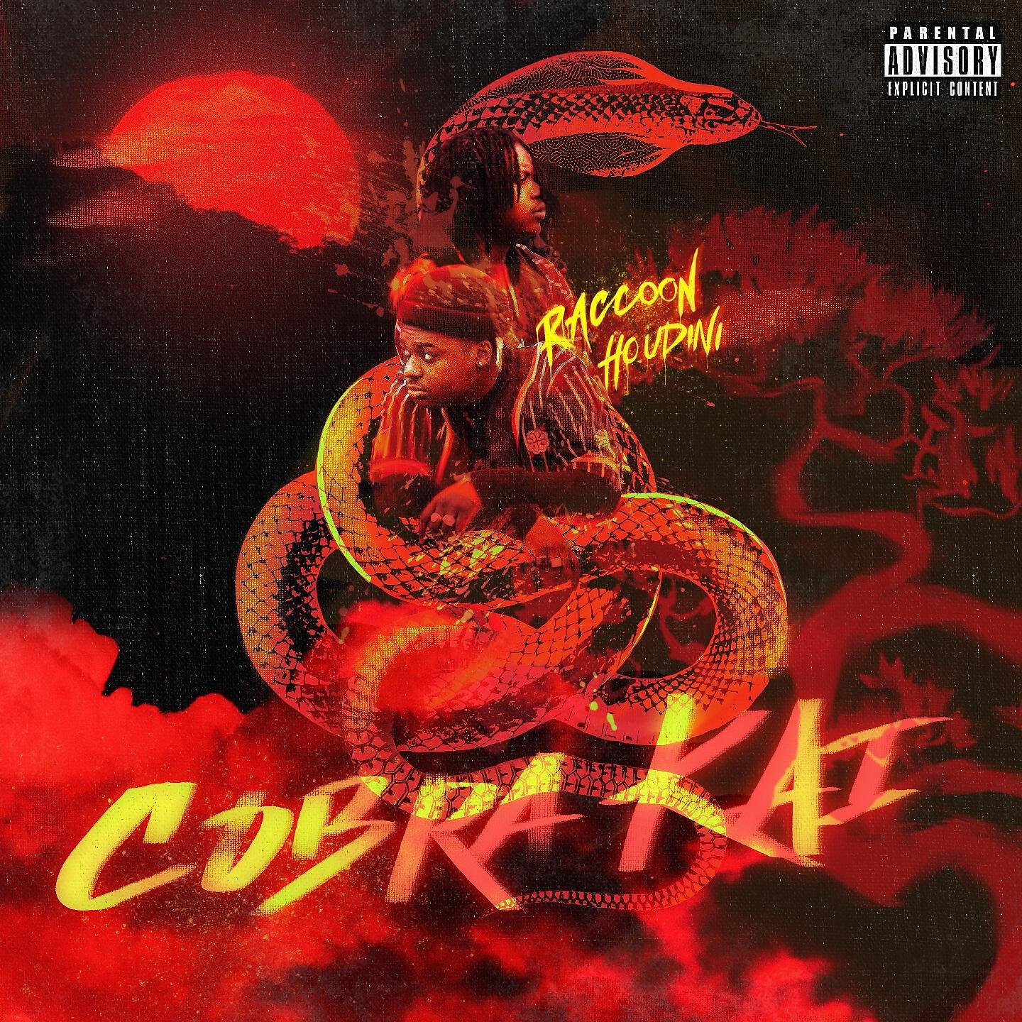 Raccoon - Cobra Kai