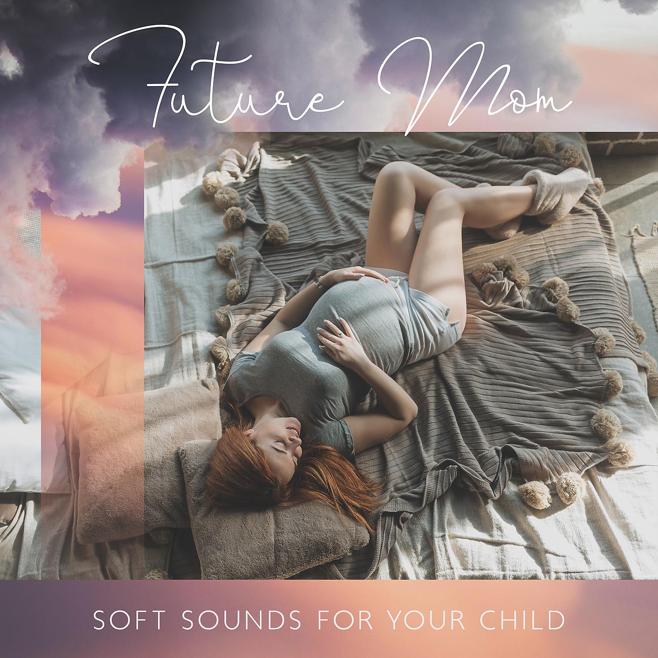 Постер альбома Future Mom