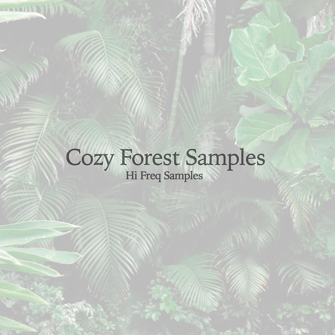 Постер альбома Cozy Forest Samples