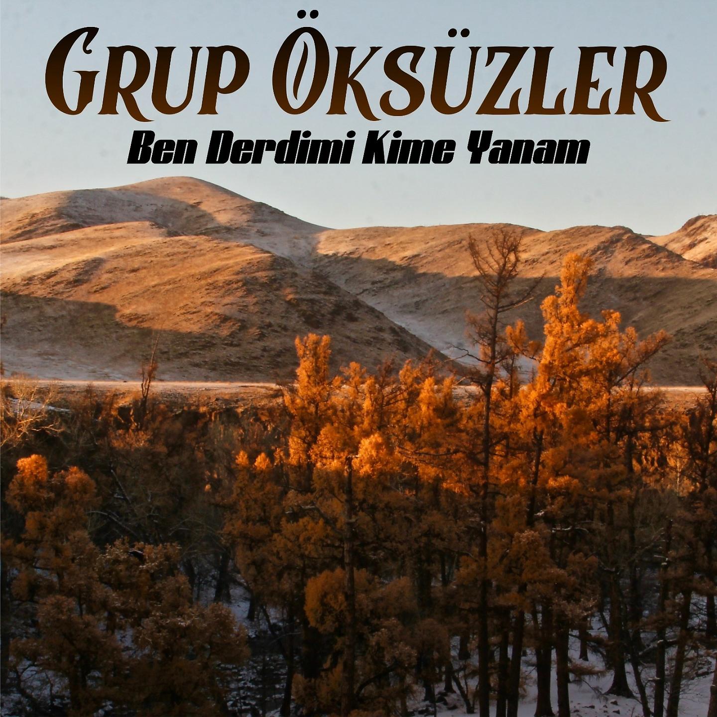 Постер альбома Ben Derdimi Kime Yanam