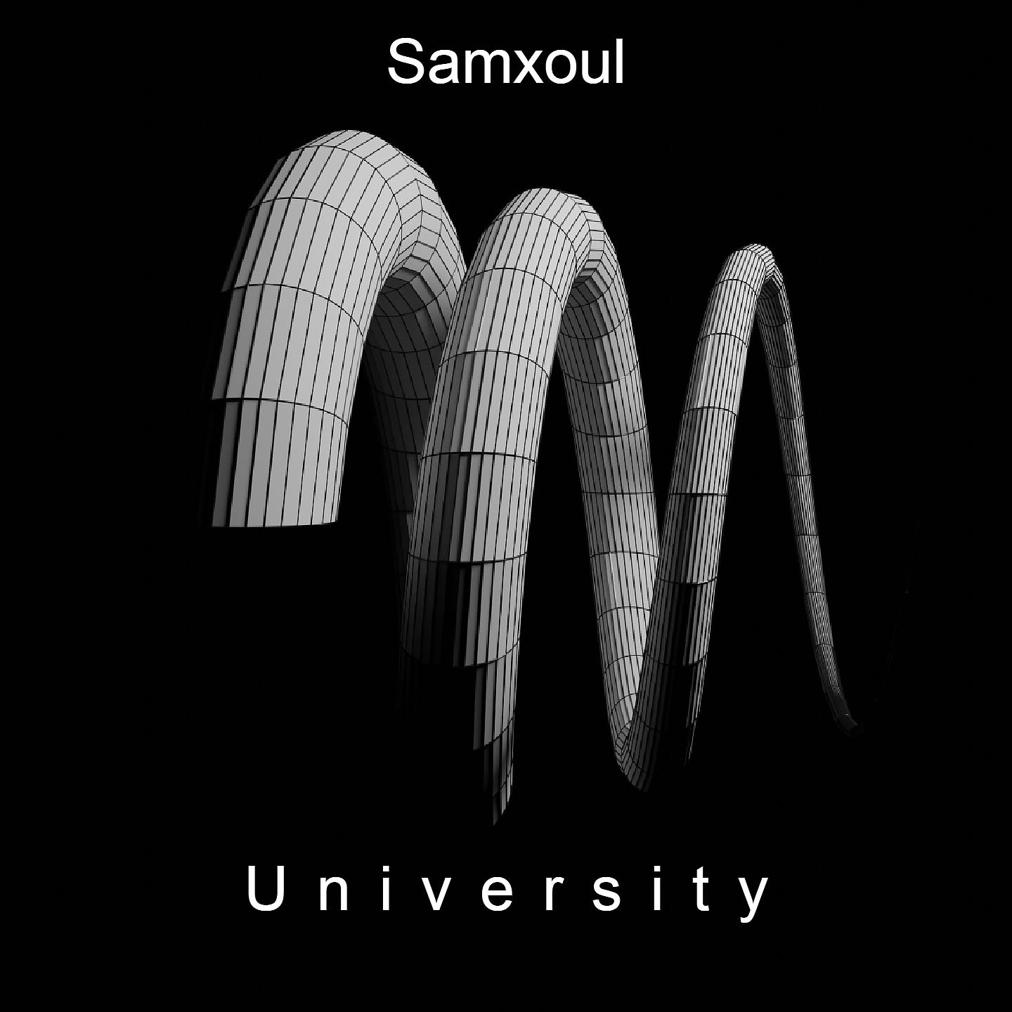 Постер альбома University