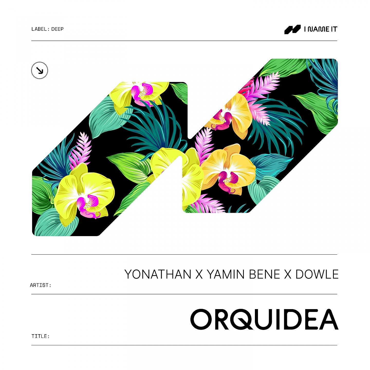 Yonathan - Orquidea