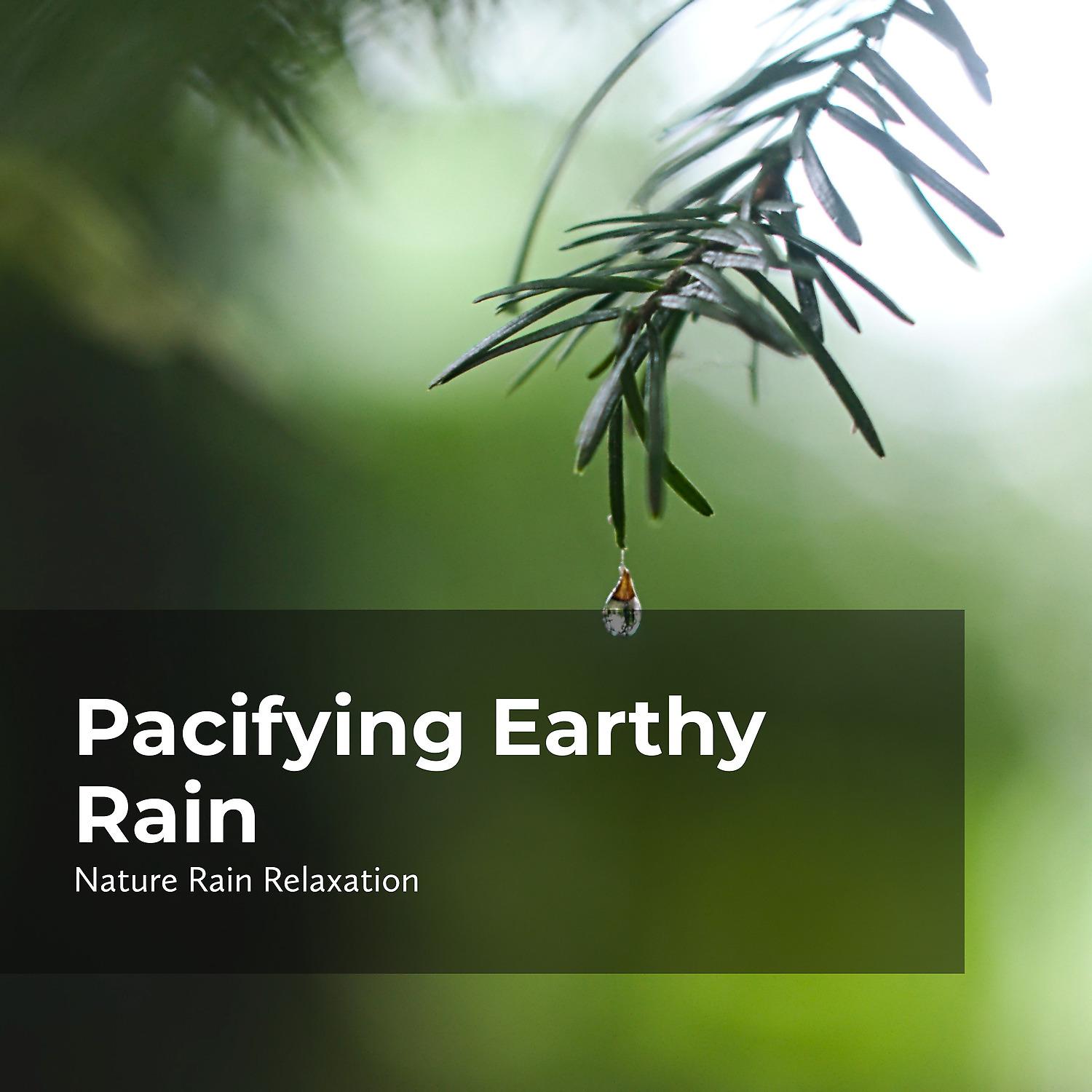 Постер альбома Pacifying Earthy Rain