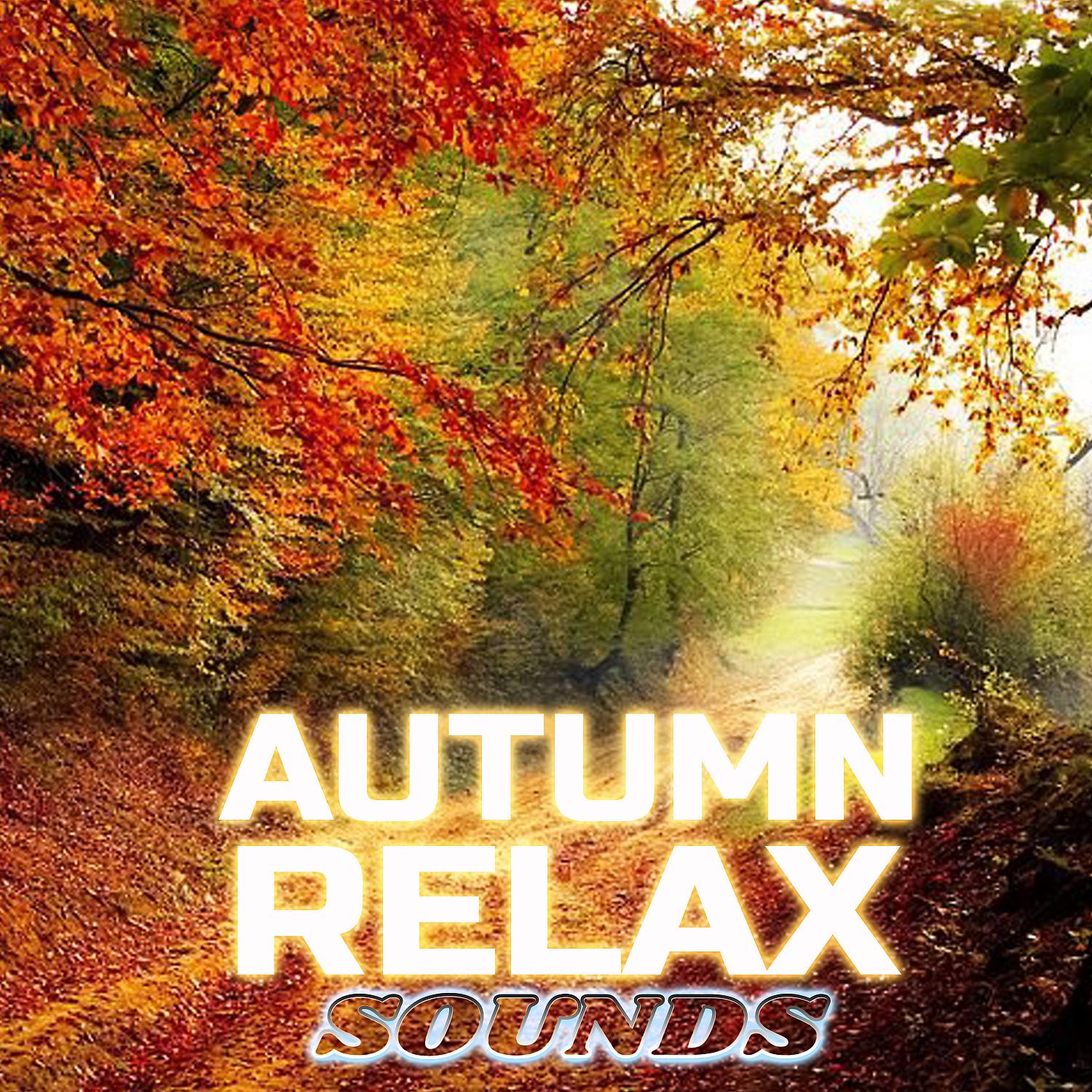 Постер альбома Autumn Relax Sounds