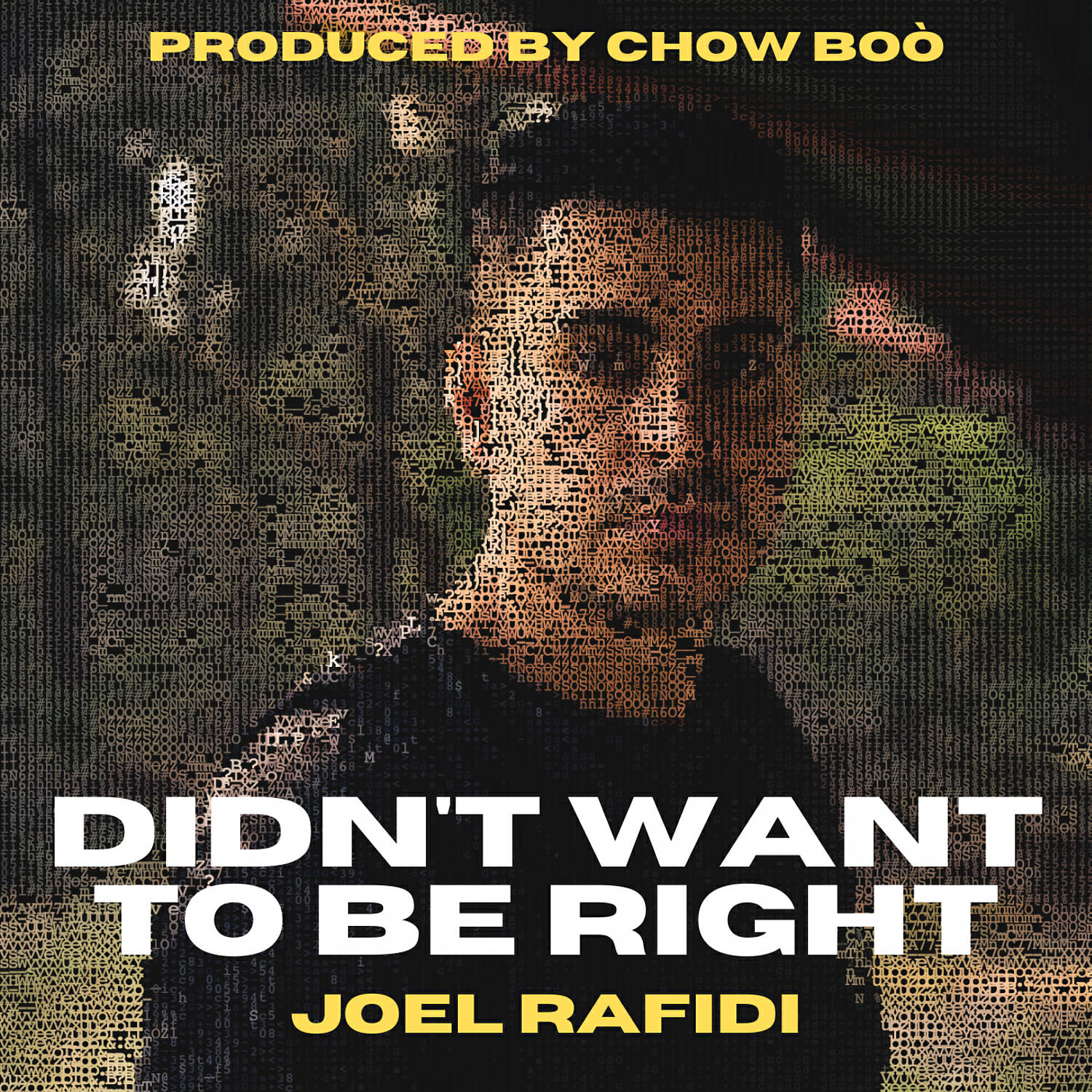 Joel Rafidi - Didn't Want To Be Right