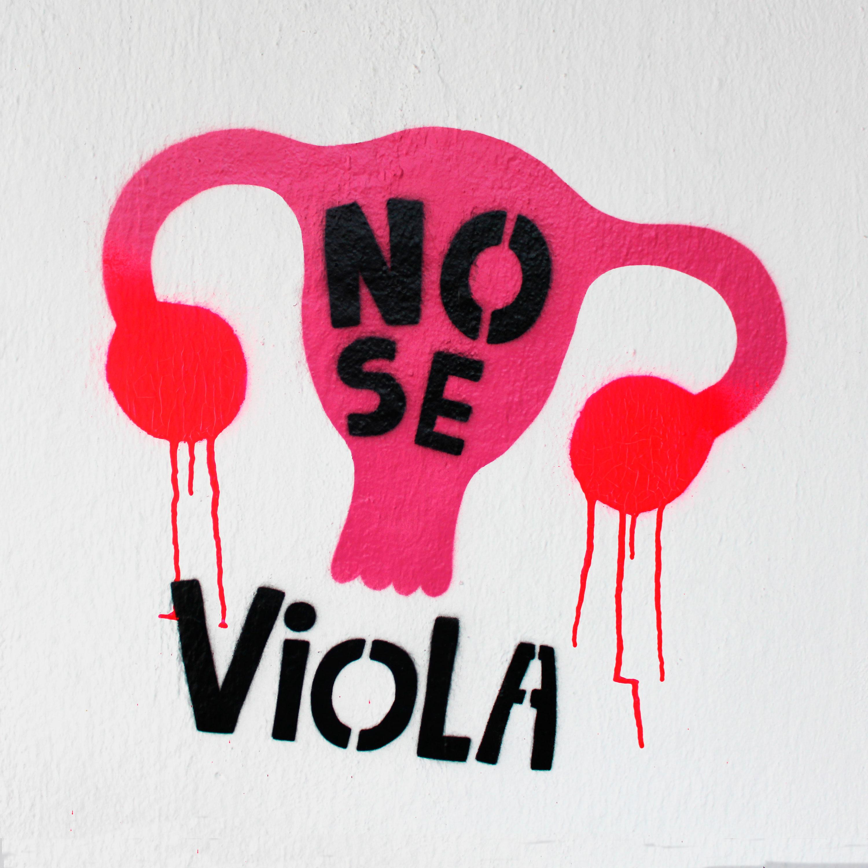 Постер альбома No Se Viola