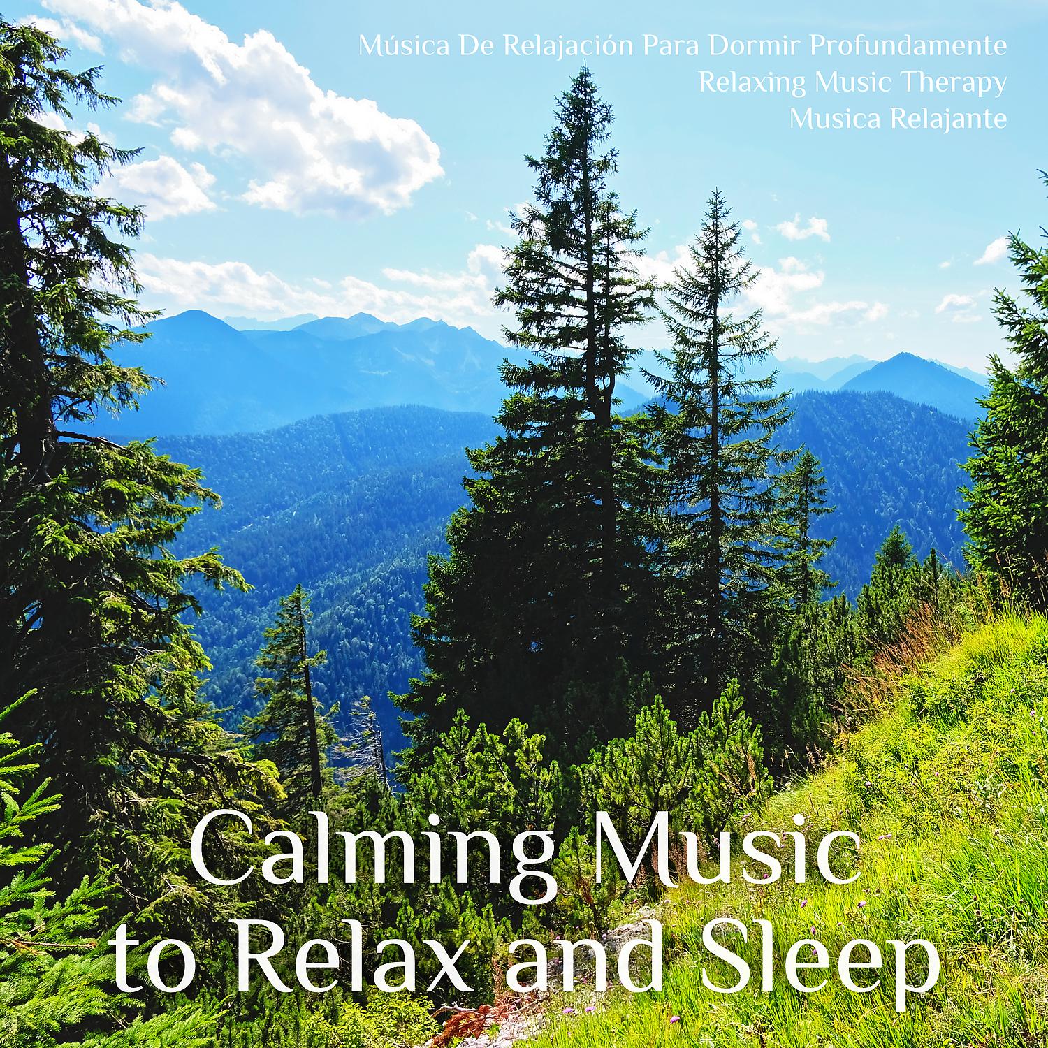 Постер альбома Calming Music to Relax and Sleep