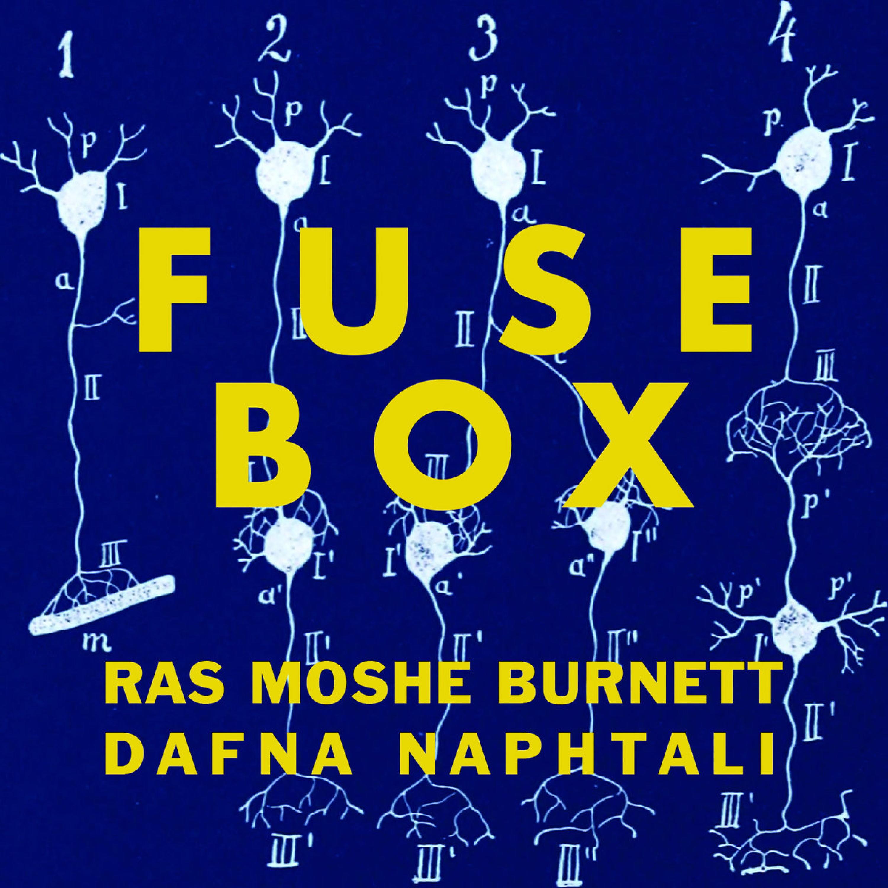 Постер альбома Fusebox