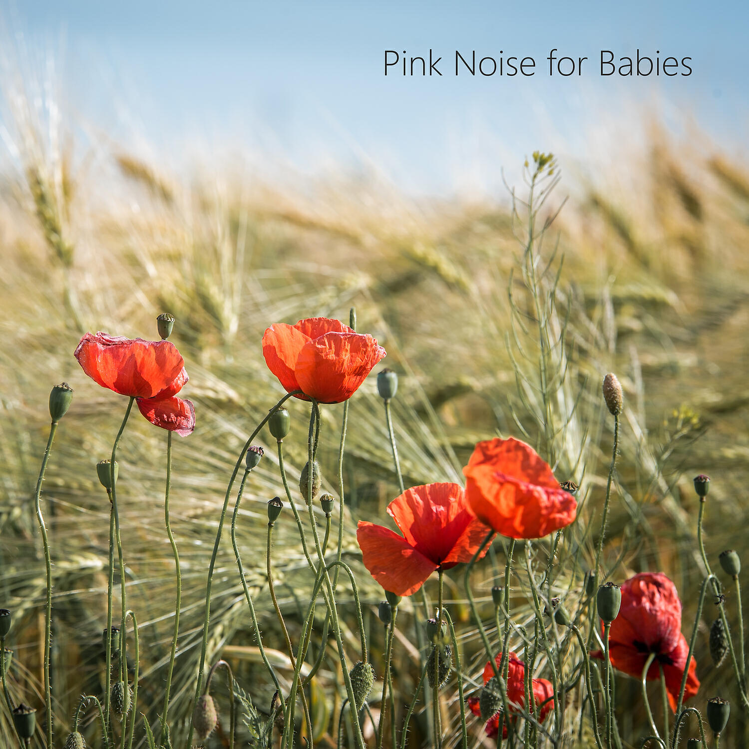 Calm Noise - Clean Brown Noise Reliefer