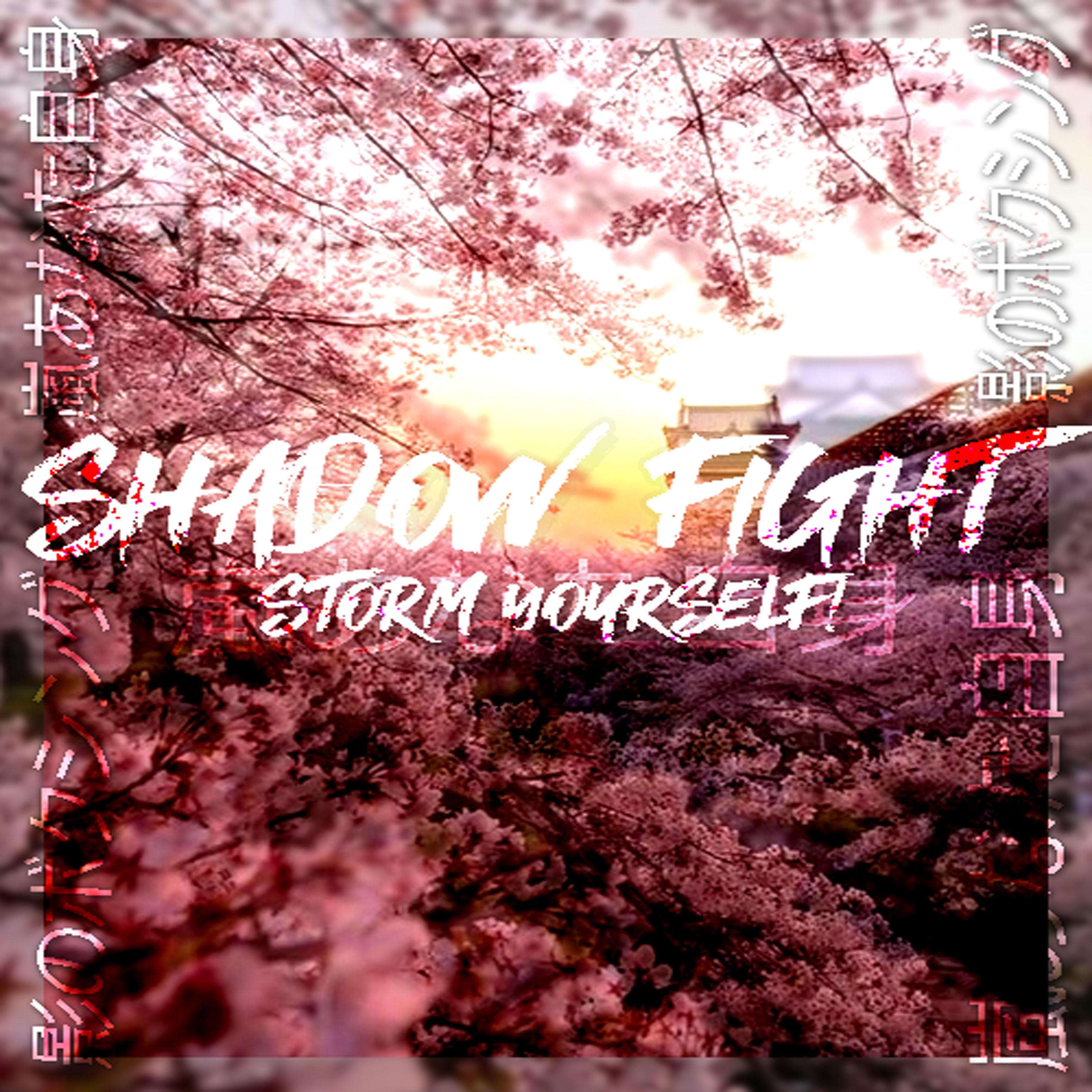 Постер альбома Shadow Fight (Storm Yourself)