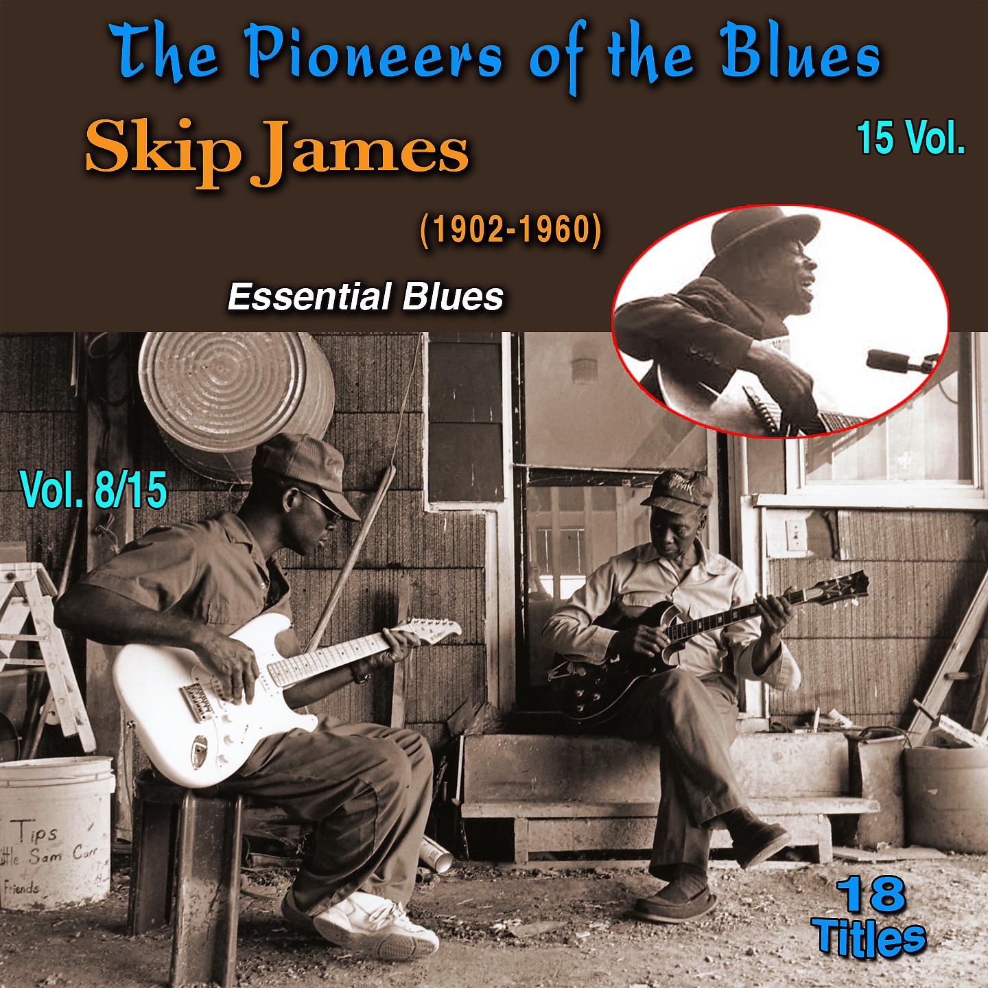 Постер альбома The Pioneers of The Blues in 15 Vol