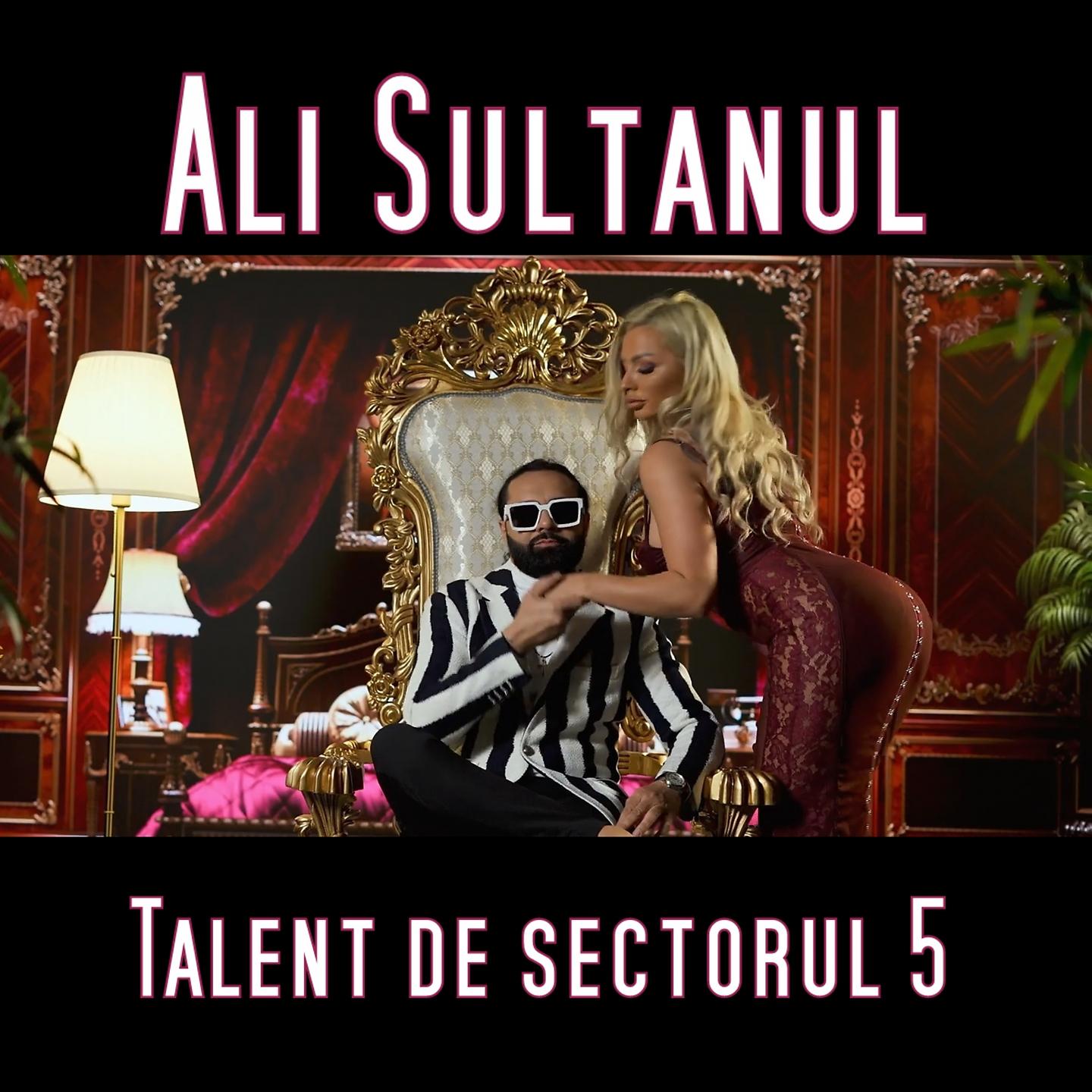 Постер альбома Talent de sectorul 5