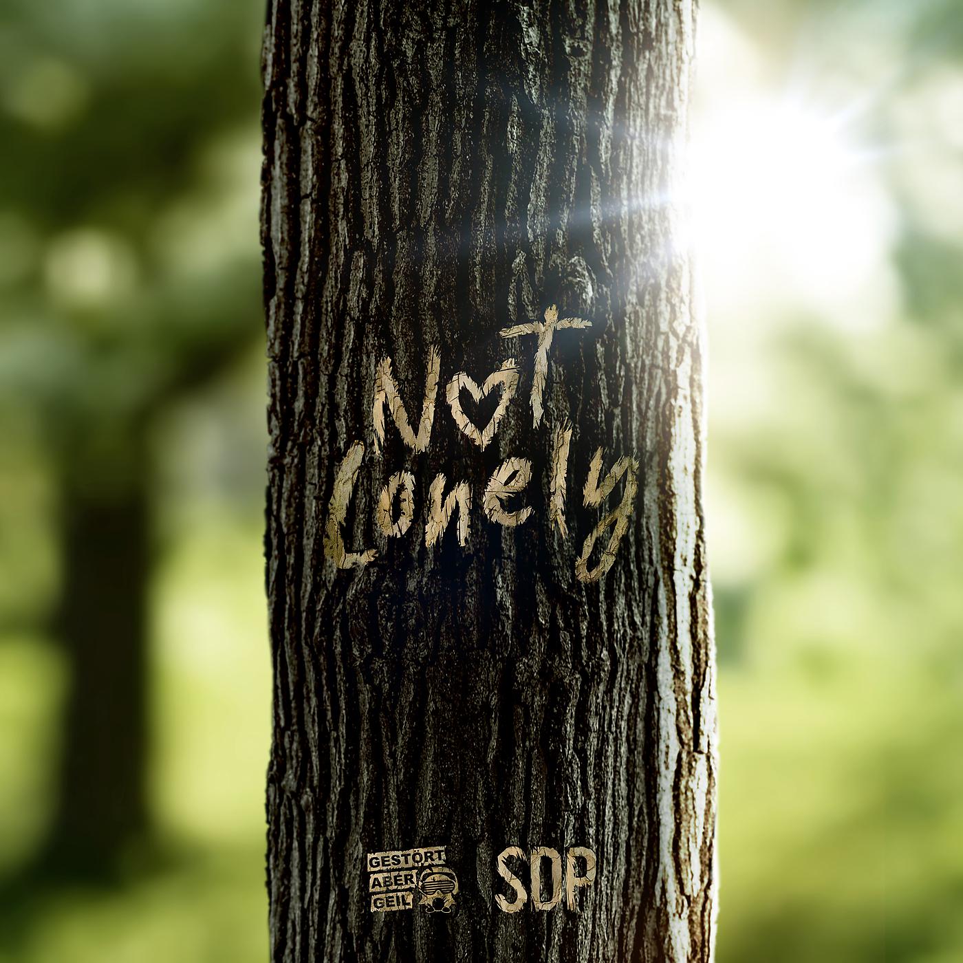Постер альбома Not Lonely