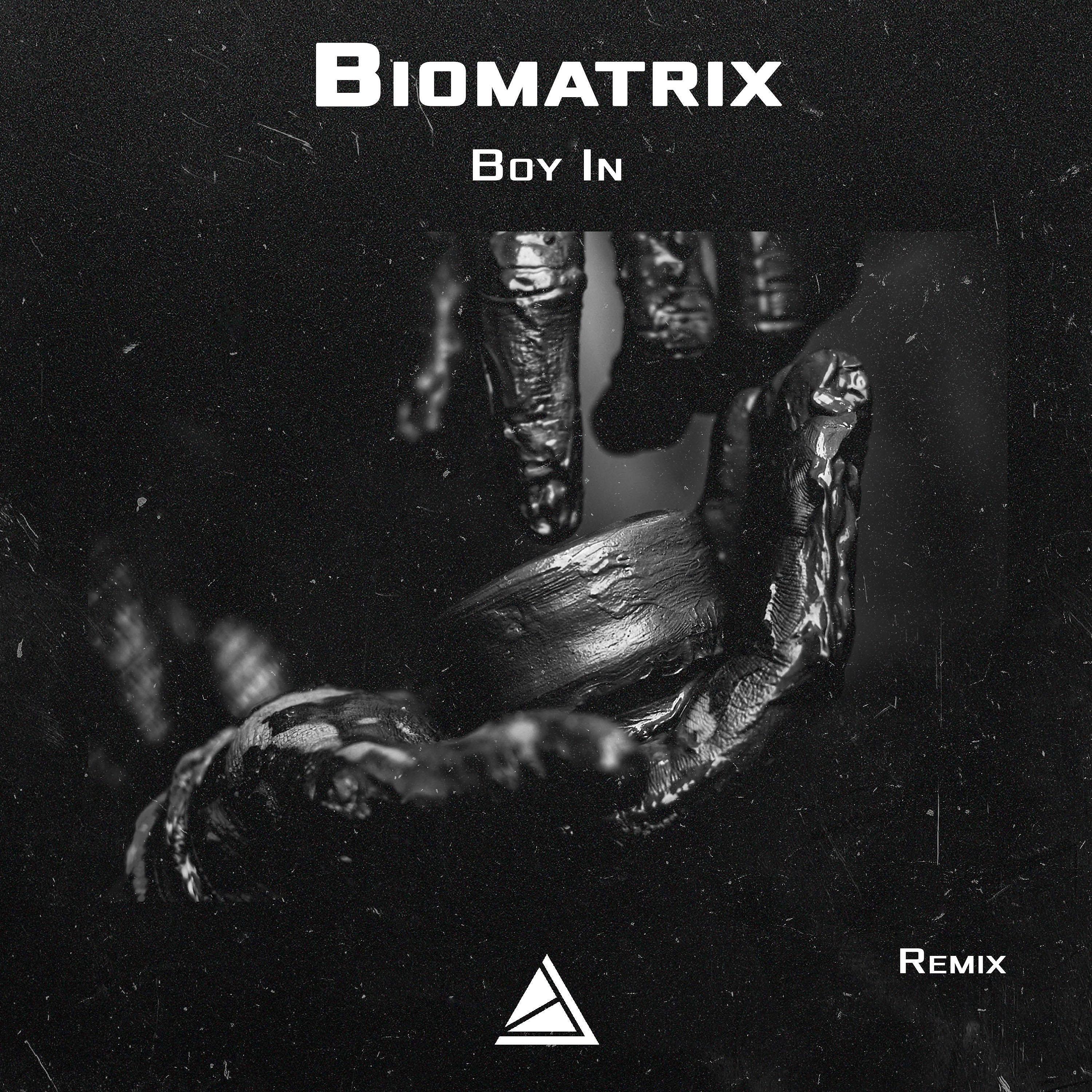 Biomatrix - Boy In (Remix)