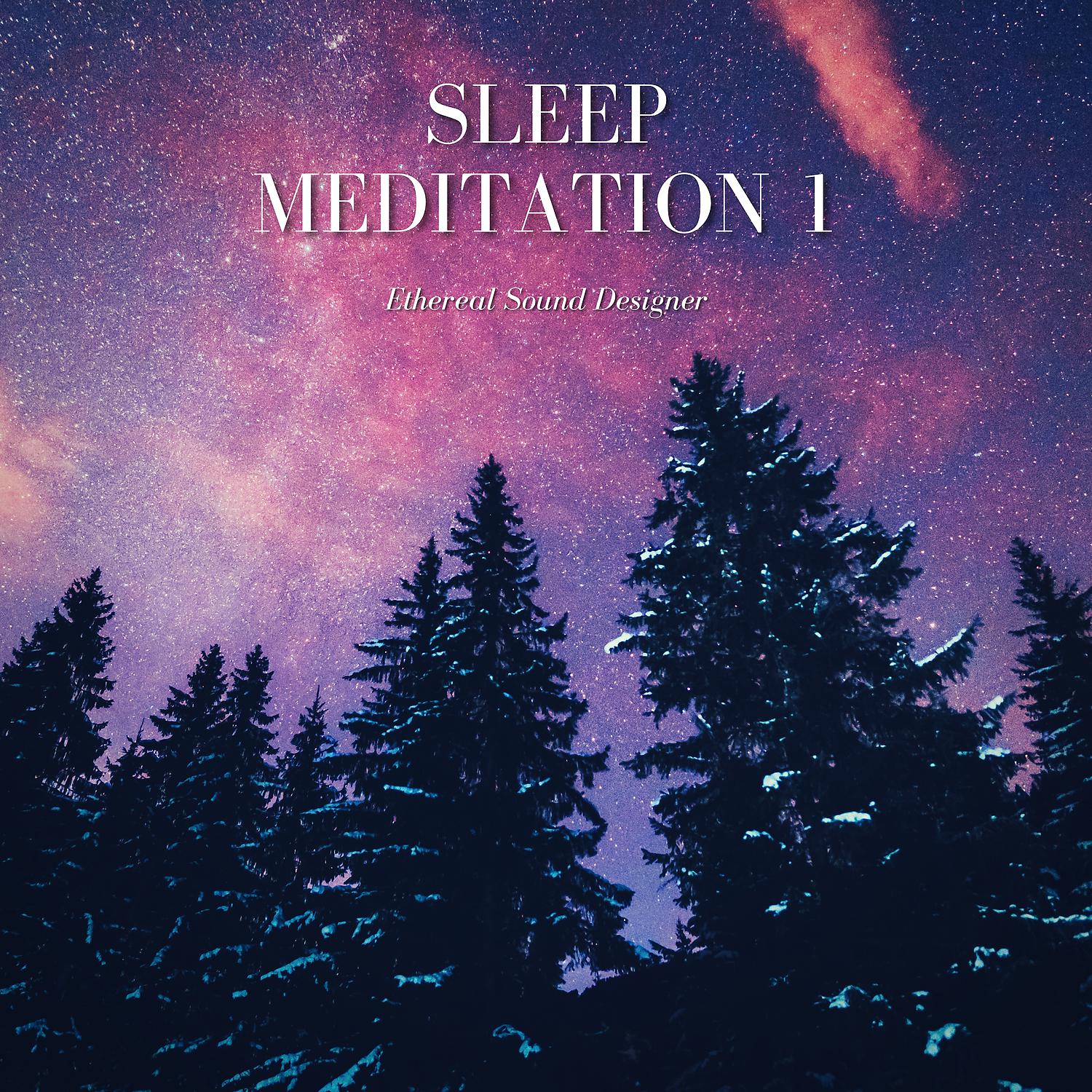 Постер альбома Sleep Meditation 1