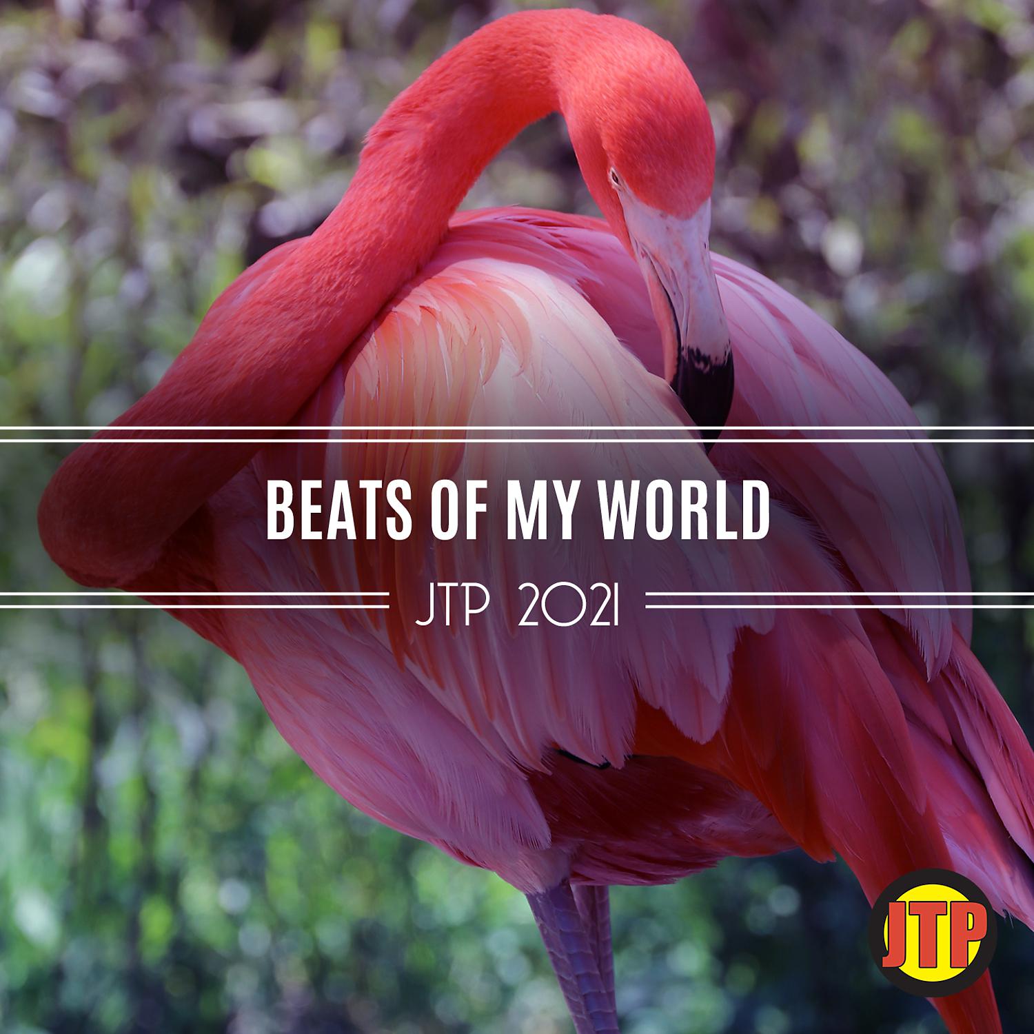 Постер альбома Beats Of My World Jtp 2021