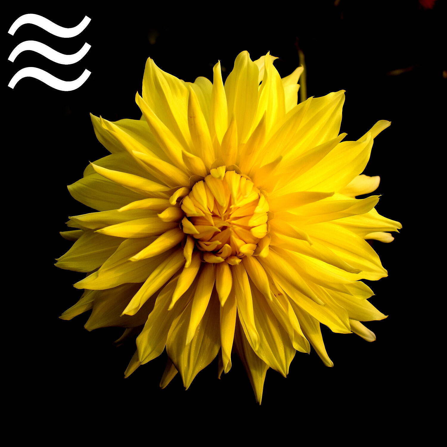 Meditation Soothing Noise for Sleep - Airplane Sleep Noise for Insomnia