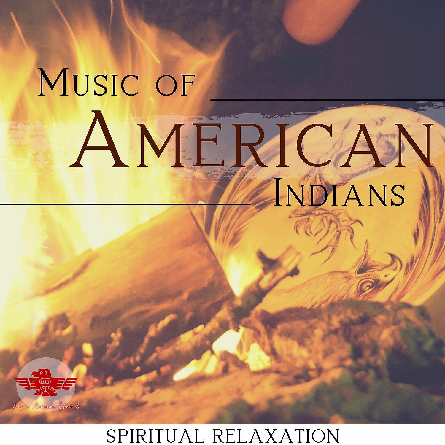 Постер альбома Traditional Instrumental Music of American Indians