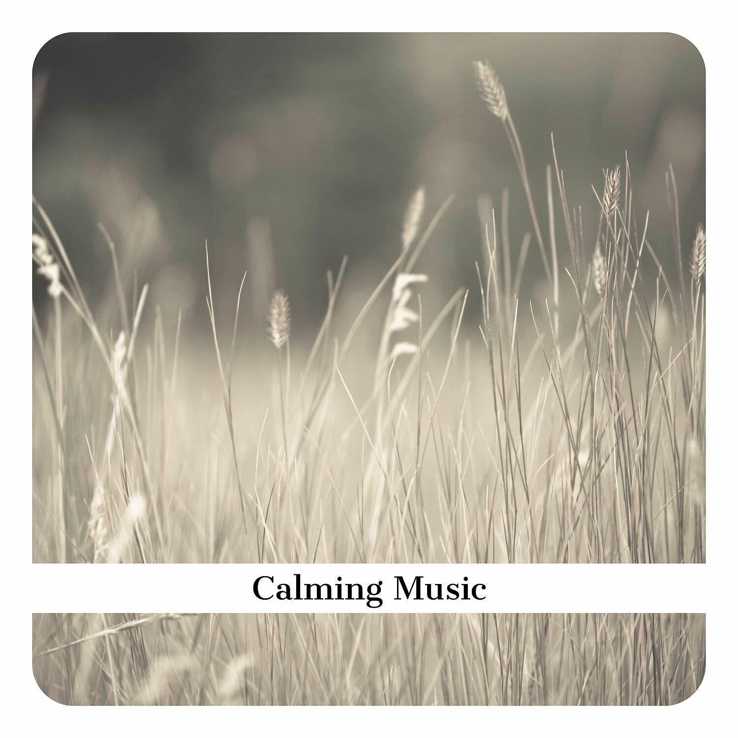 Постер альбома Calming Music, Relaxation Music