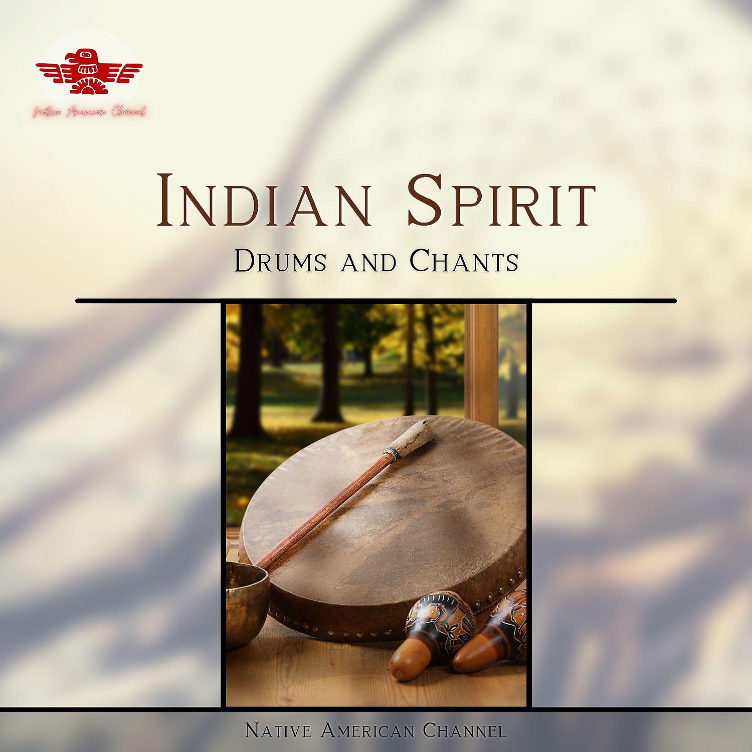 Постер альбома Indian Spirit, Drums and Chants