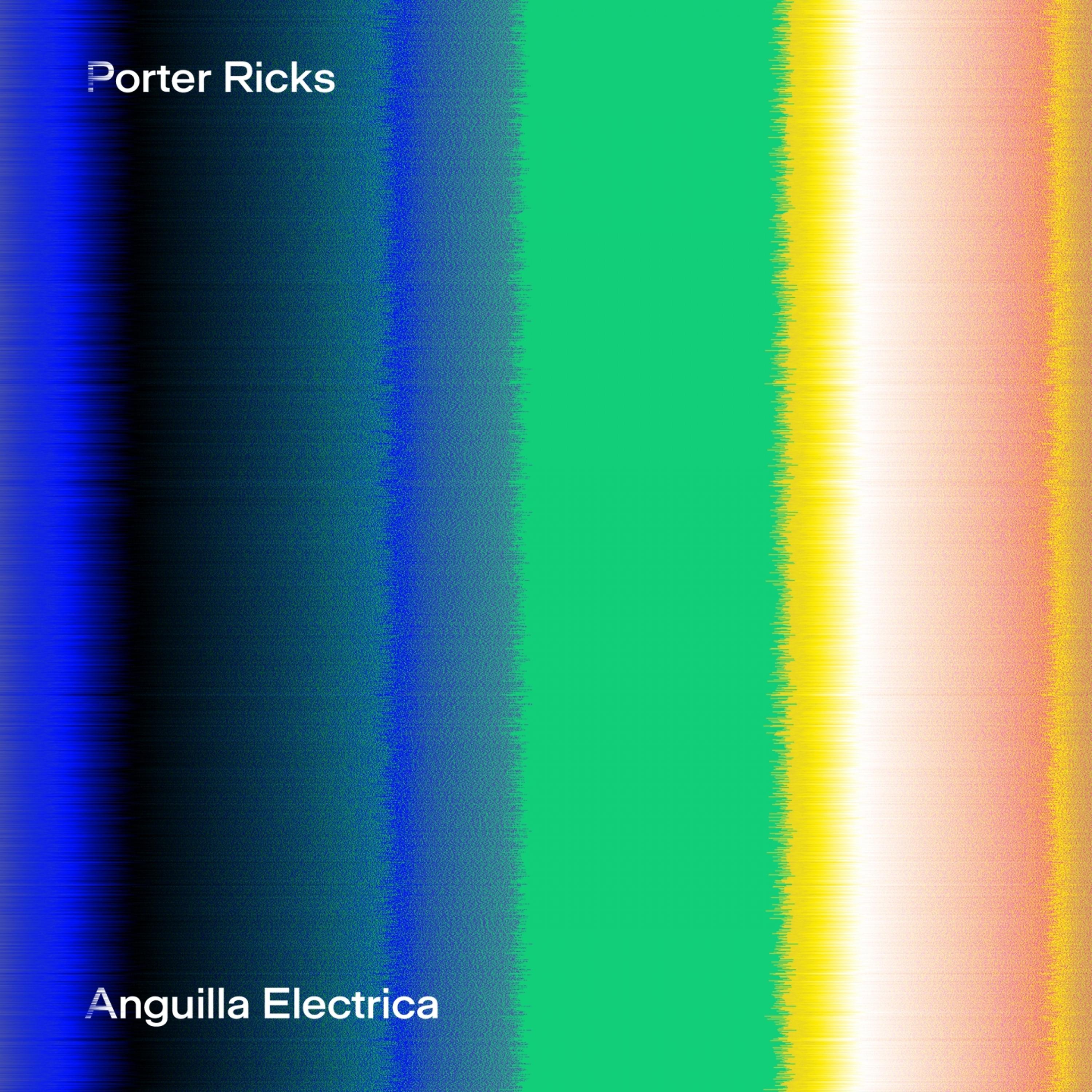 Постер альбома Anguilla Electrica