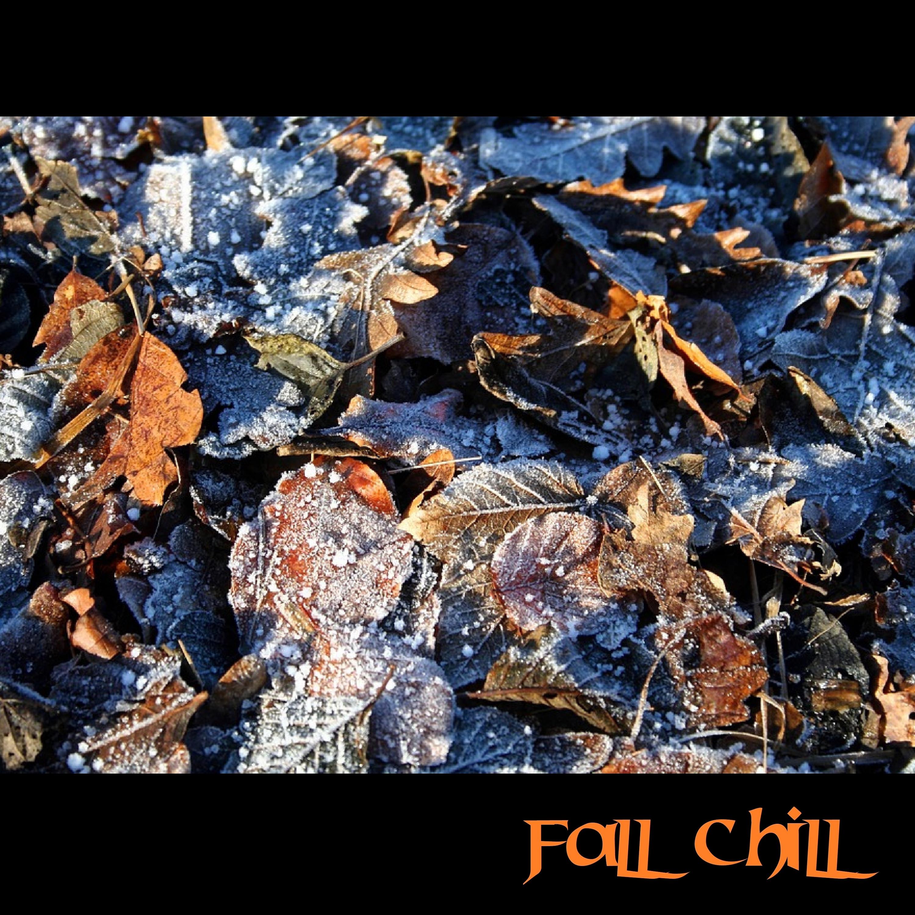 Постер альбома Fall Chill