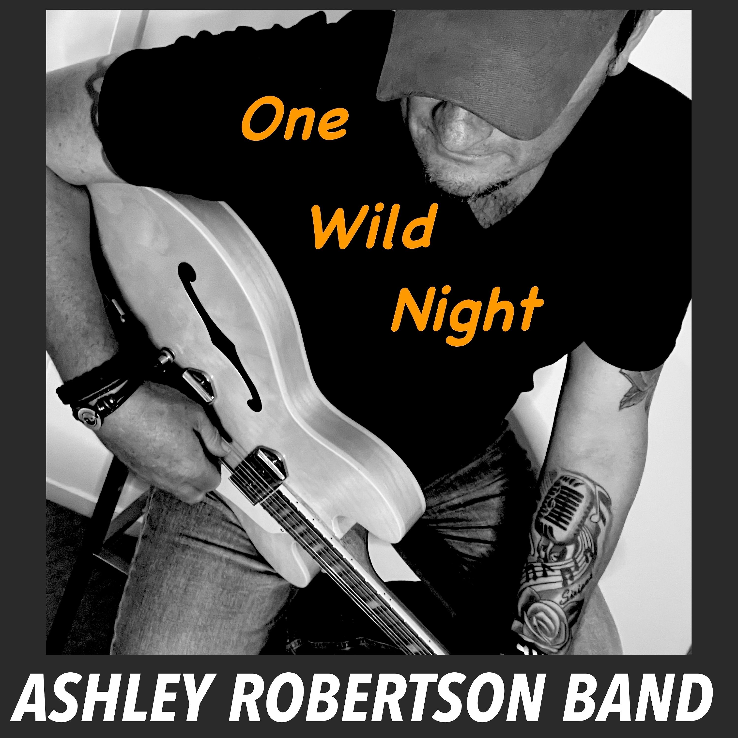Постер альбома One Wild Night