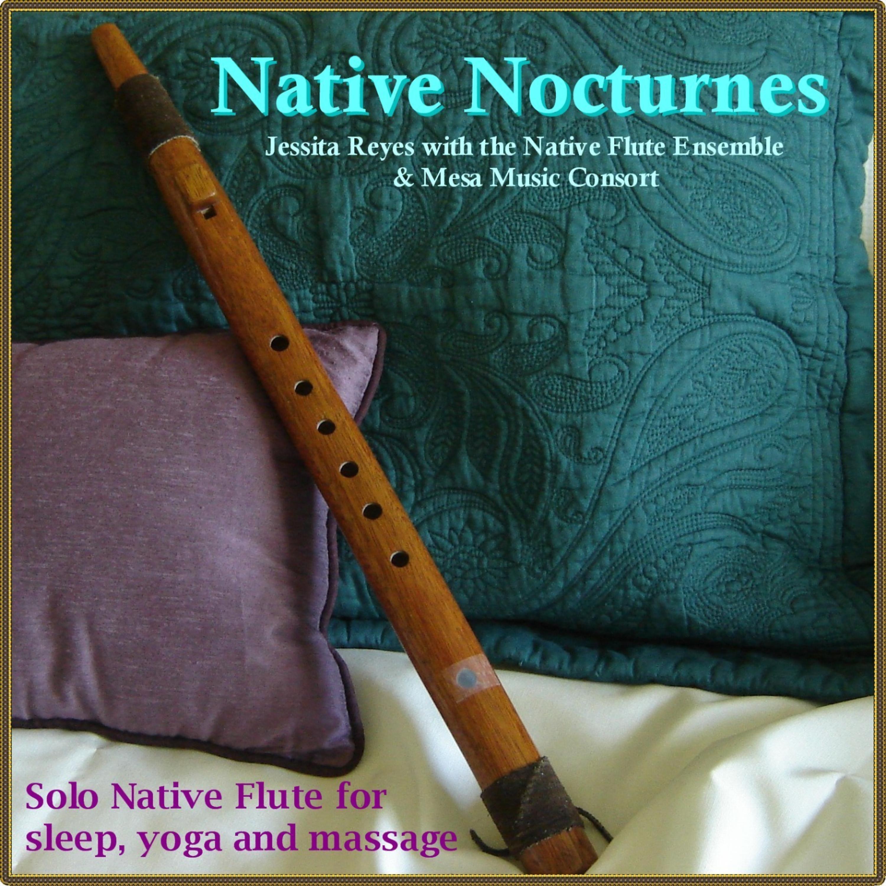 Постер альбома NATIVE NOCTURNES - Native Flute Music for Sleep, Yoga & Massage