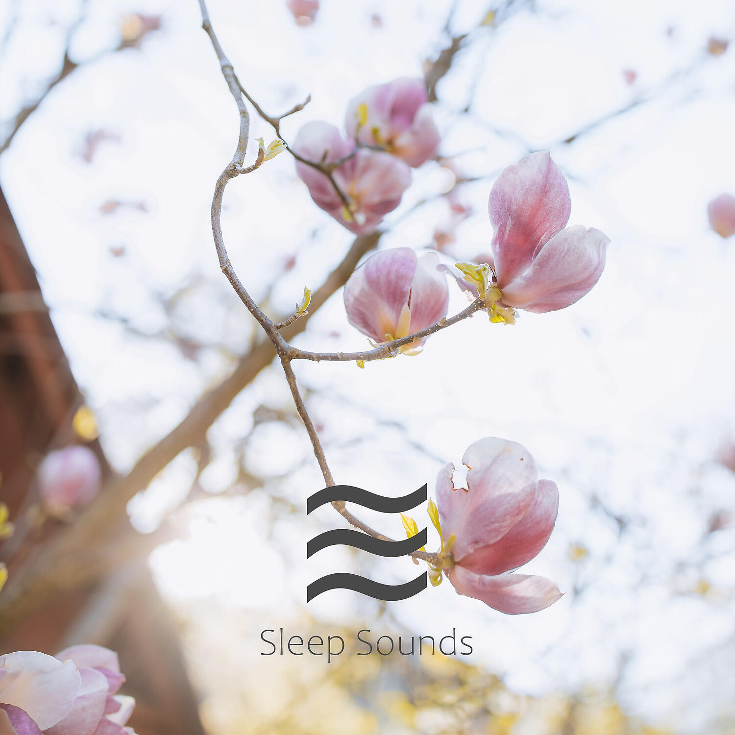 Baby Blue Sough to Stay Relaxed - Calming Baby Blue Sounds