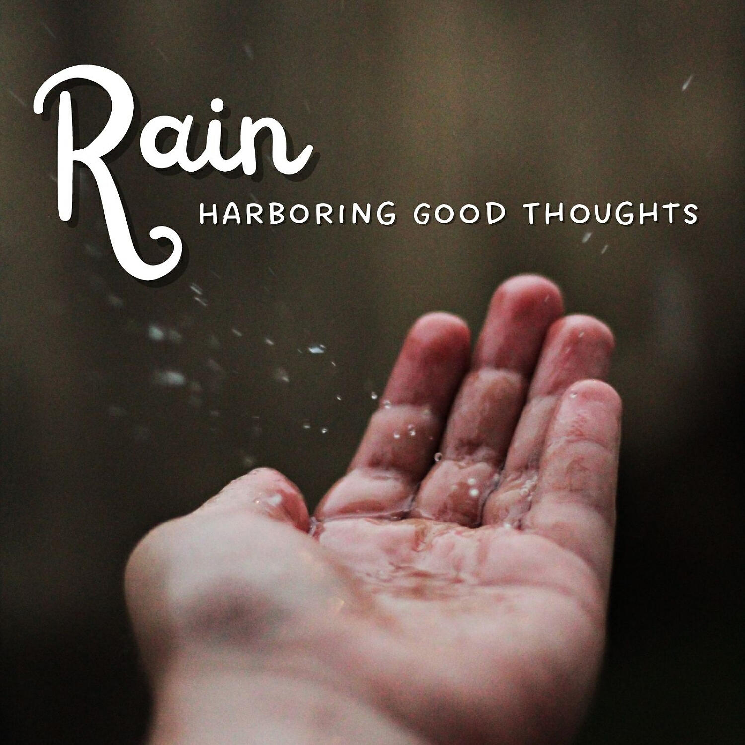 Rain Radiance - Superb Conclusions
