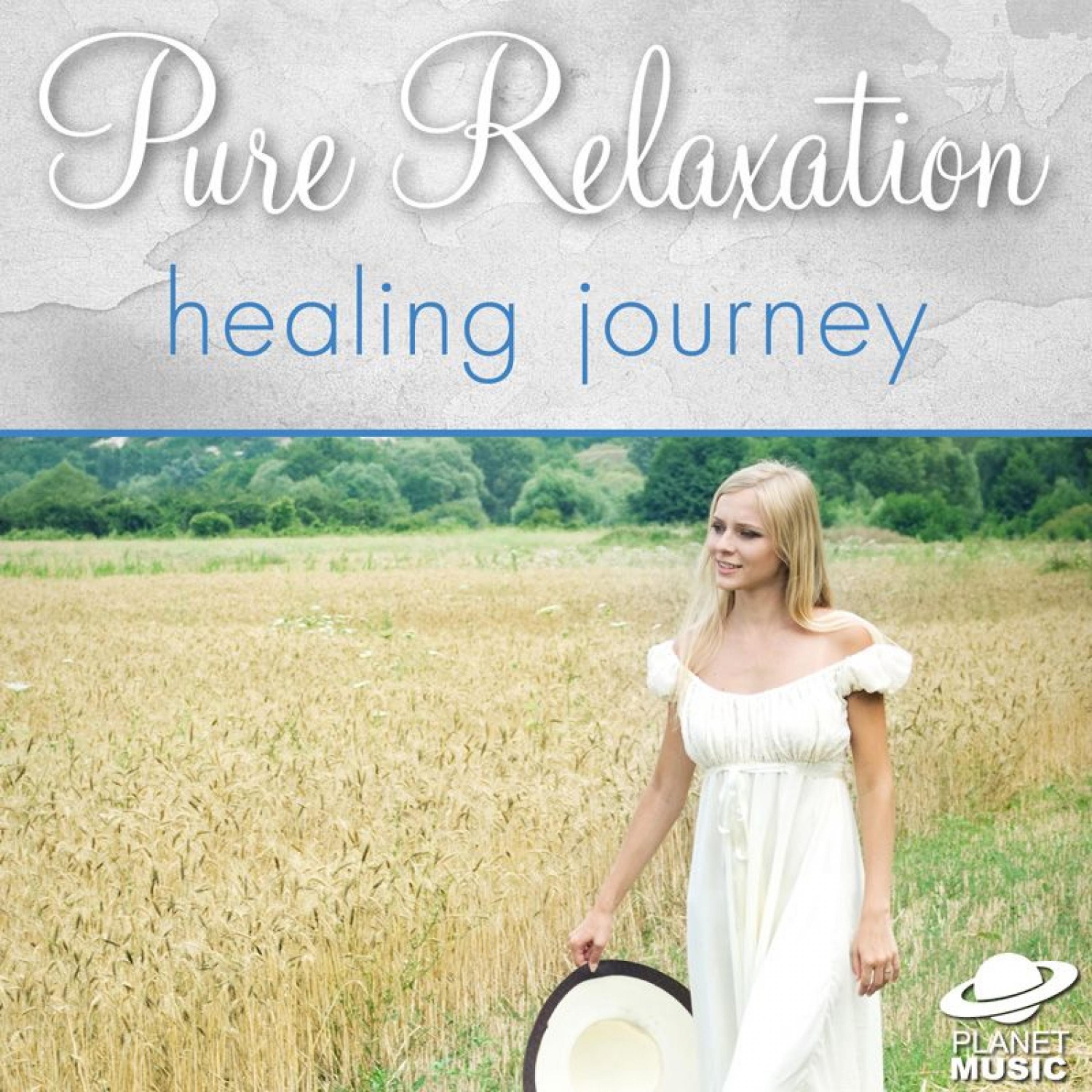 Постер альбома Pure Relaxation: Healing Journey